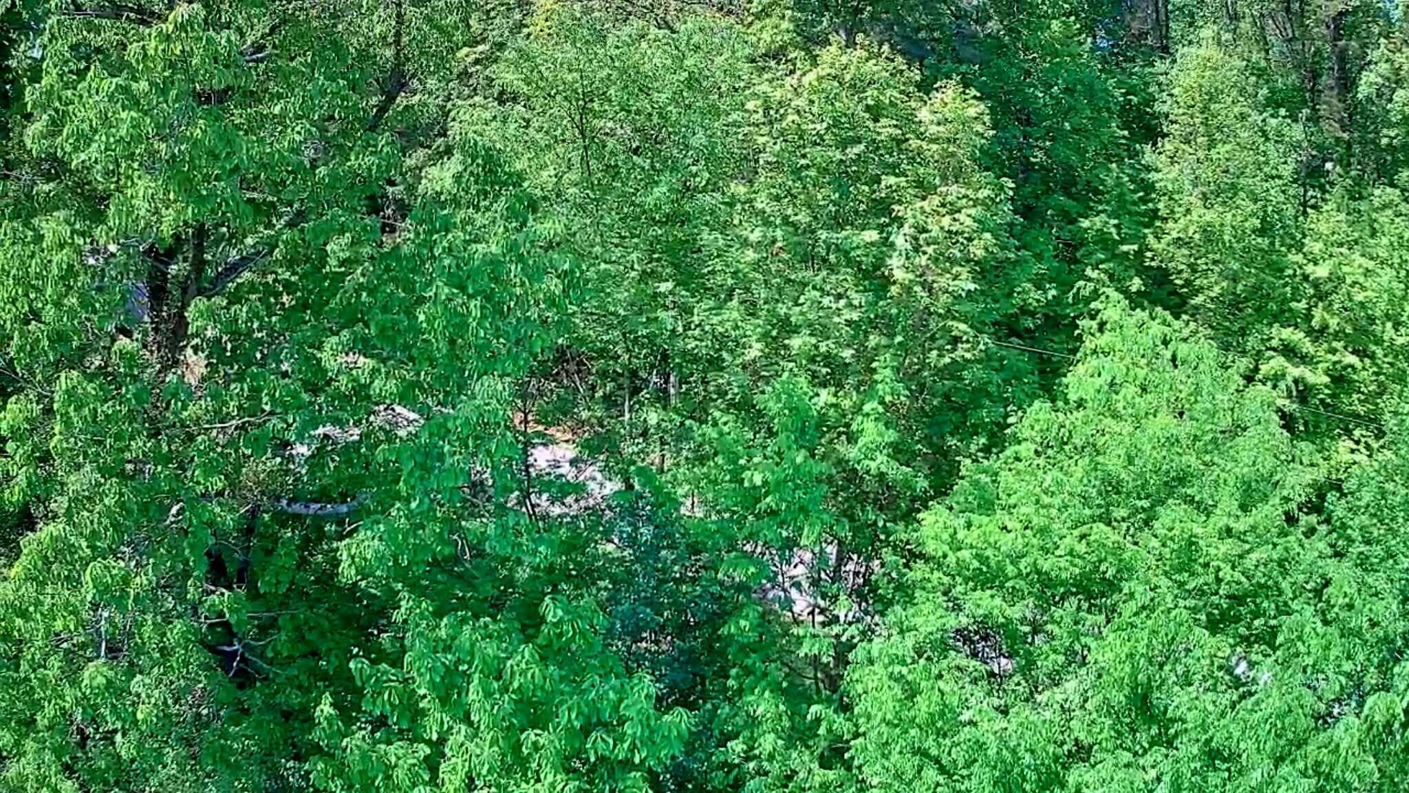 3734 Highway 41 Trail