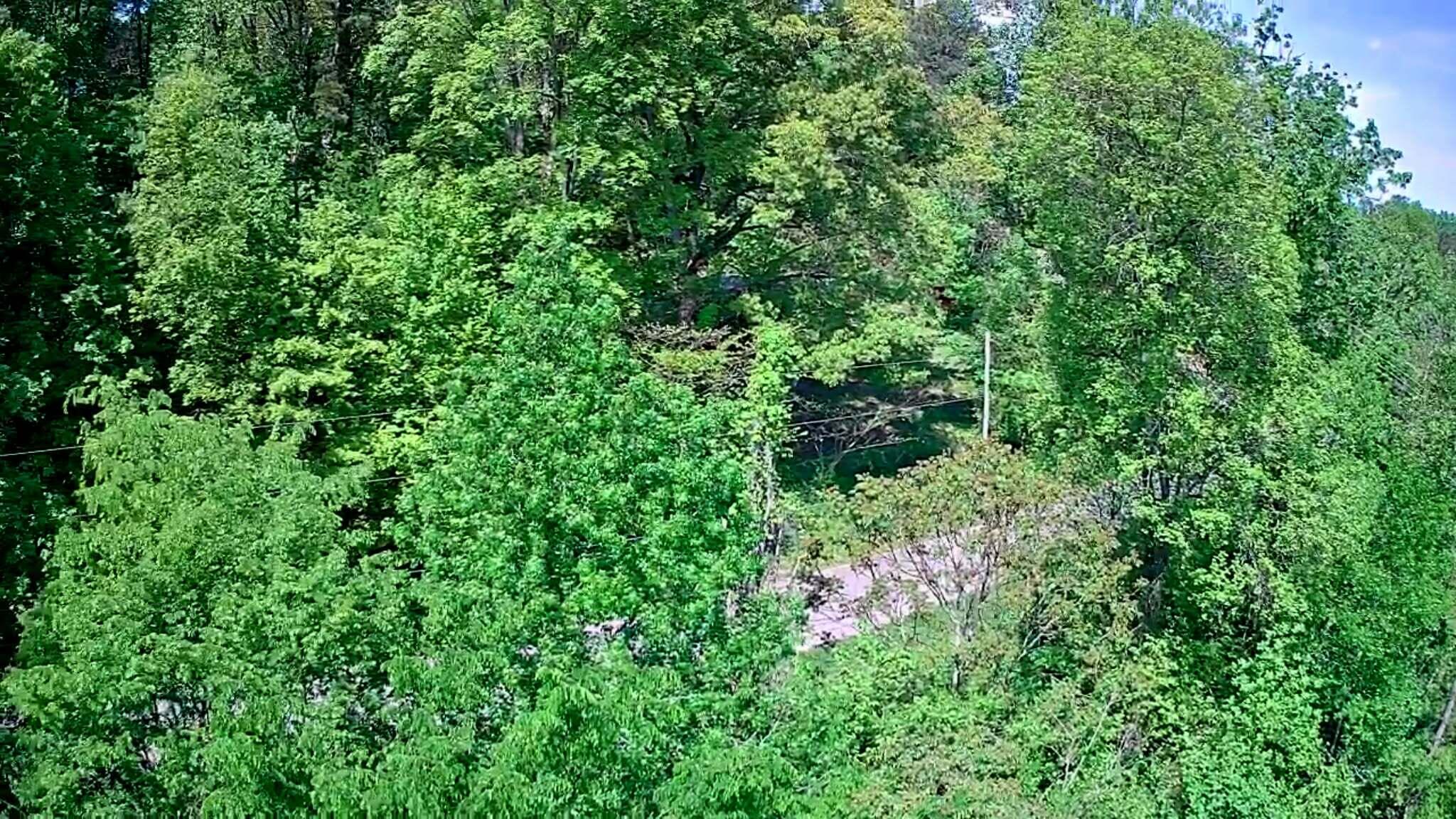 3734 Highway 41 Trail