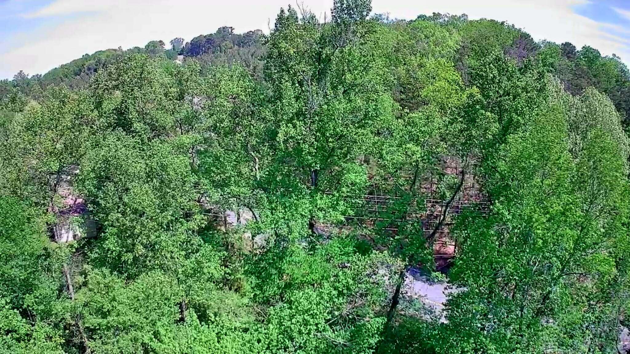 3734 Highway 41 Trail