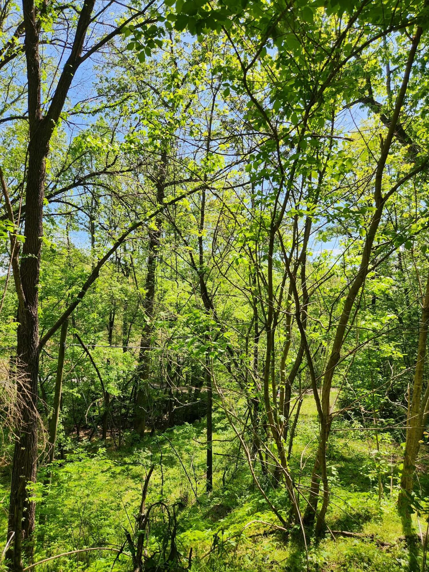 3734 Highway 41 Trail