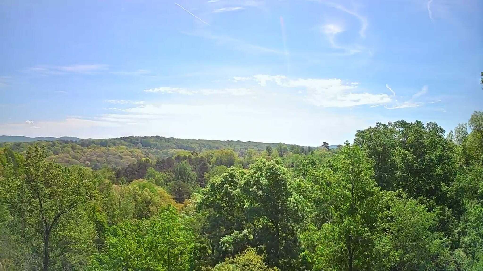 3734 Highway 41 Trail