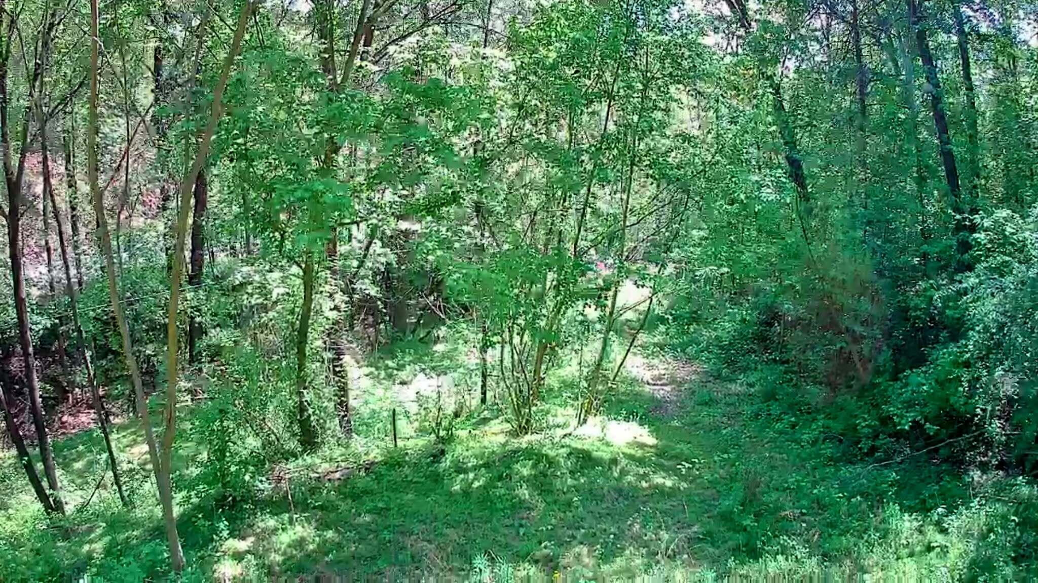 3734 Highway 41 Trail