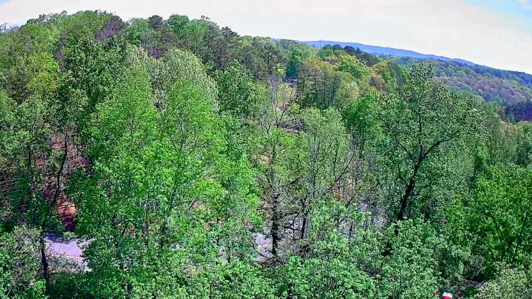 3734 Highway 41 Trail
