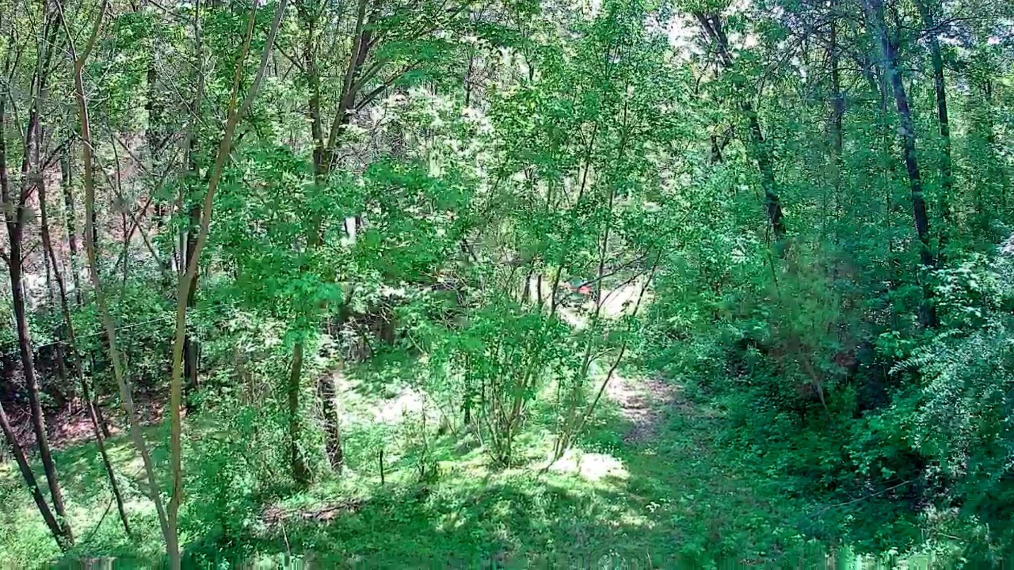 3734 Highway 41 Trail