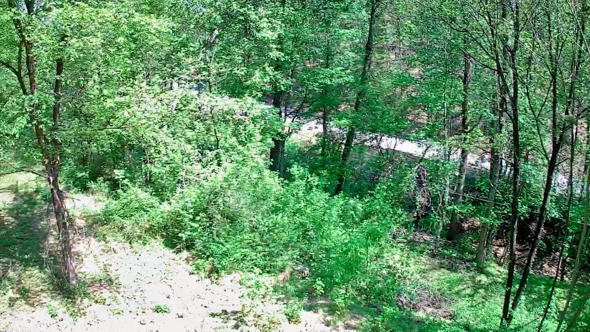 3734 Highway 41 Trail