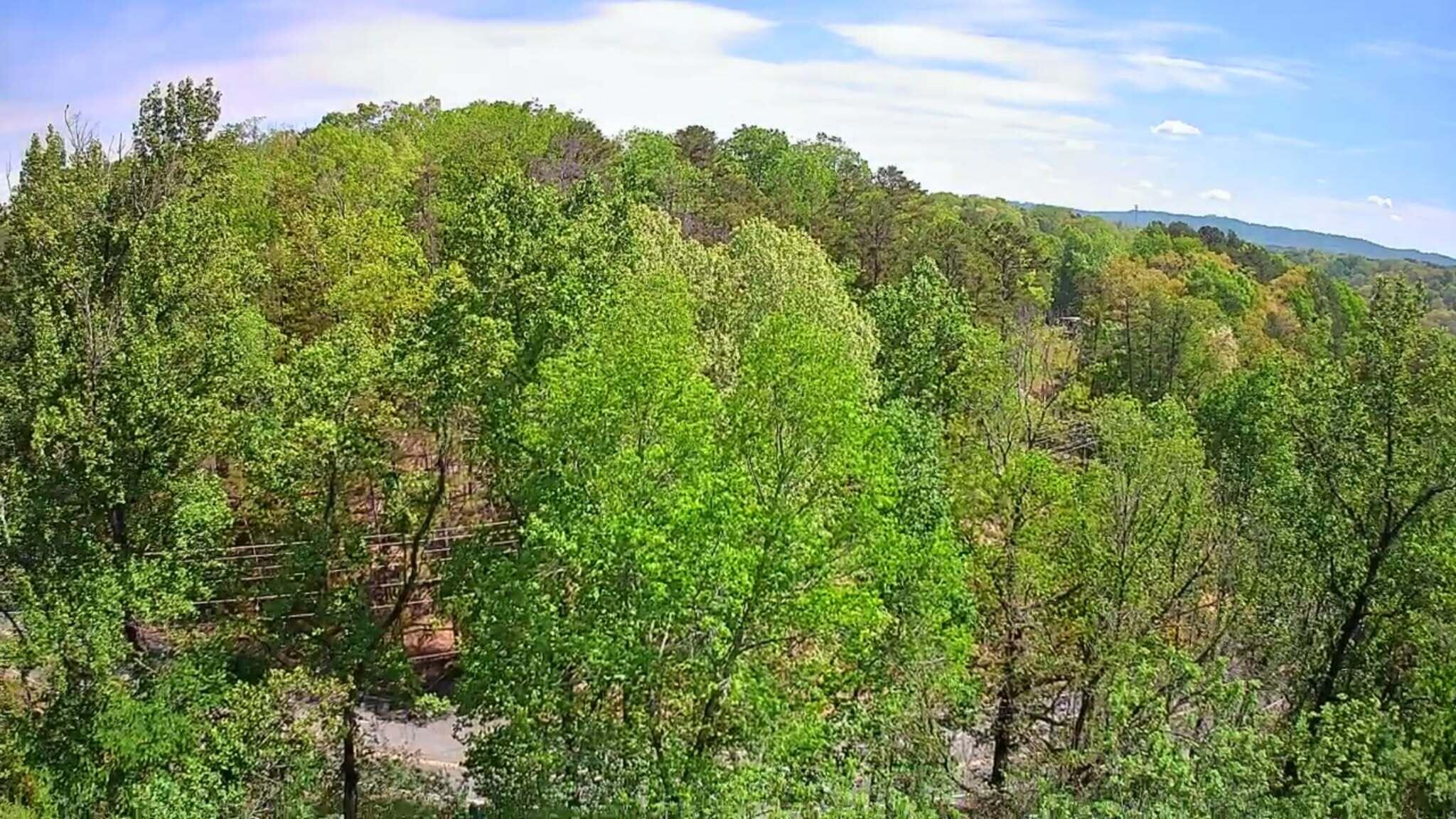3734 Highway 41 Trail