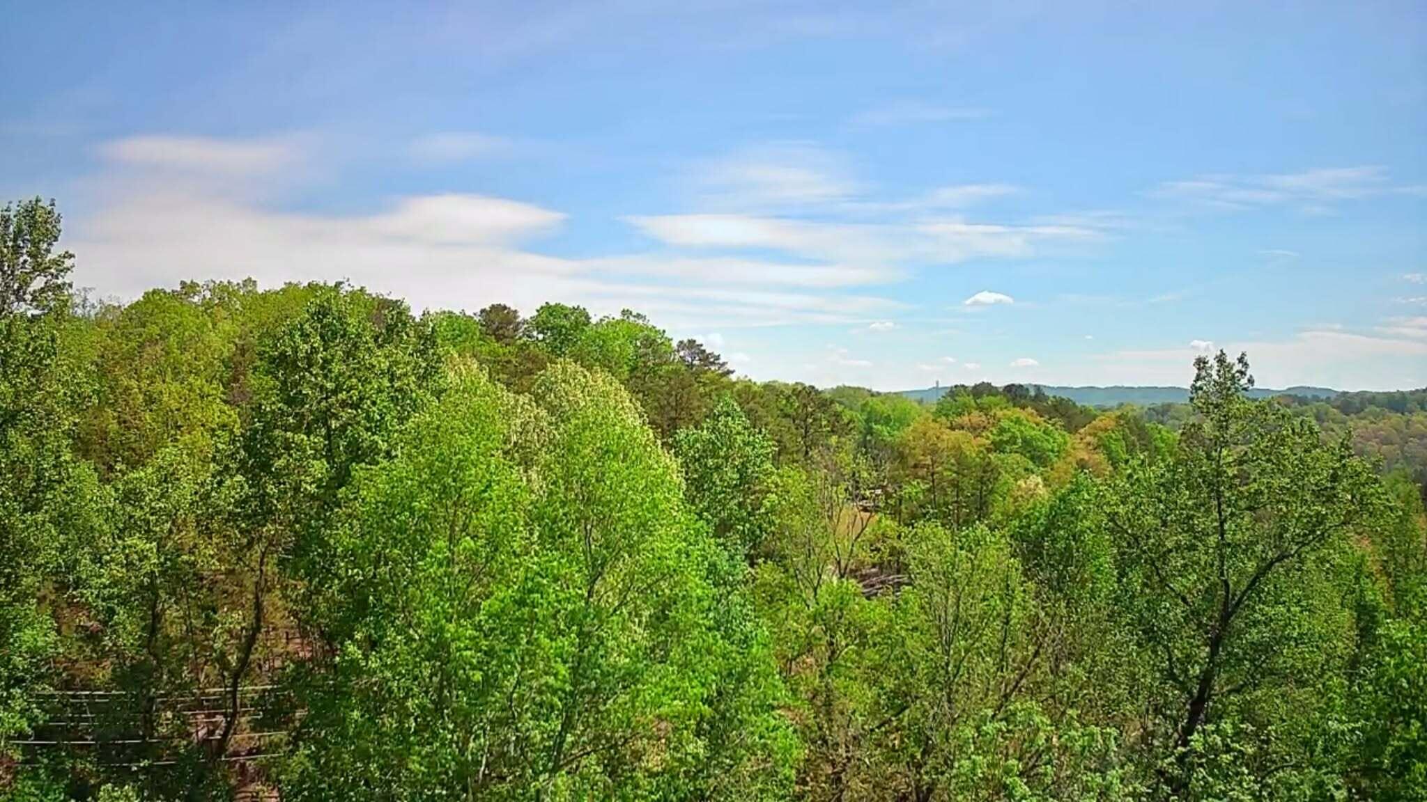 3734 Highway 41 Trail