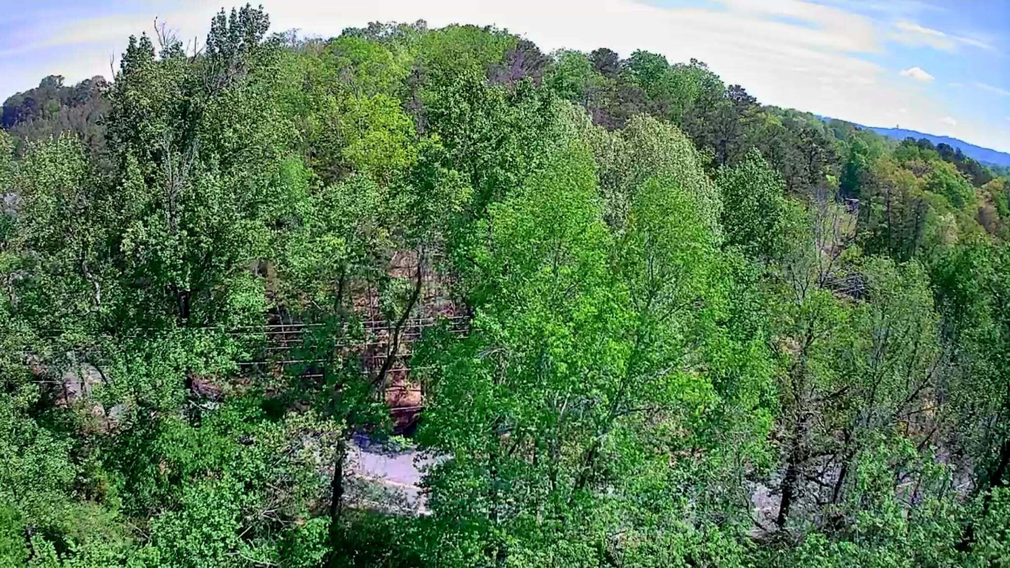 3734 Highway 41 Trail