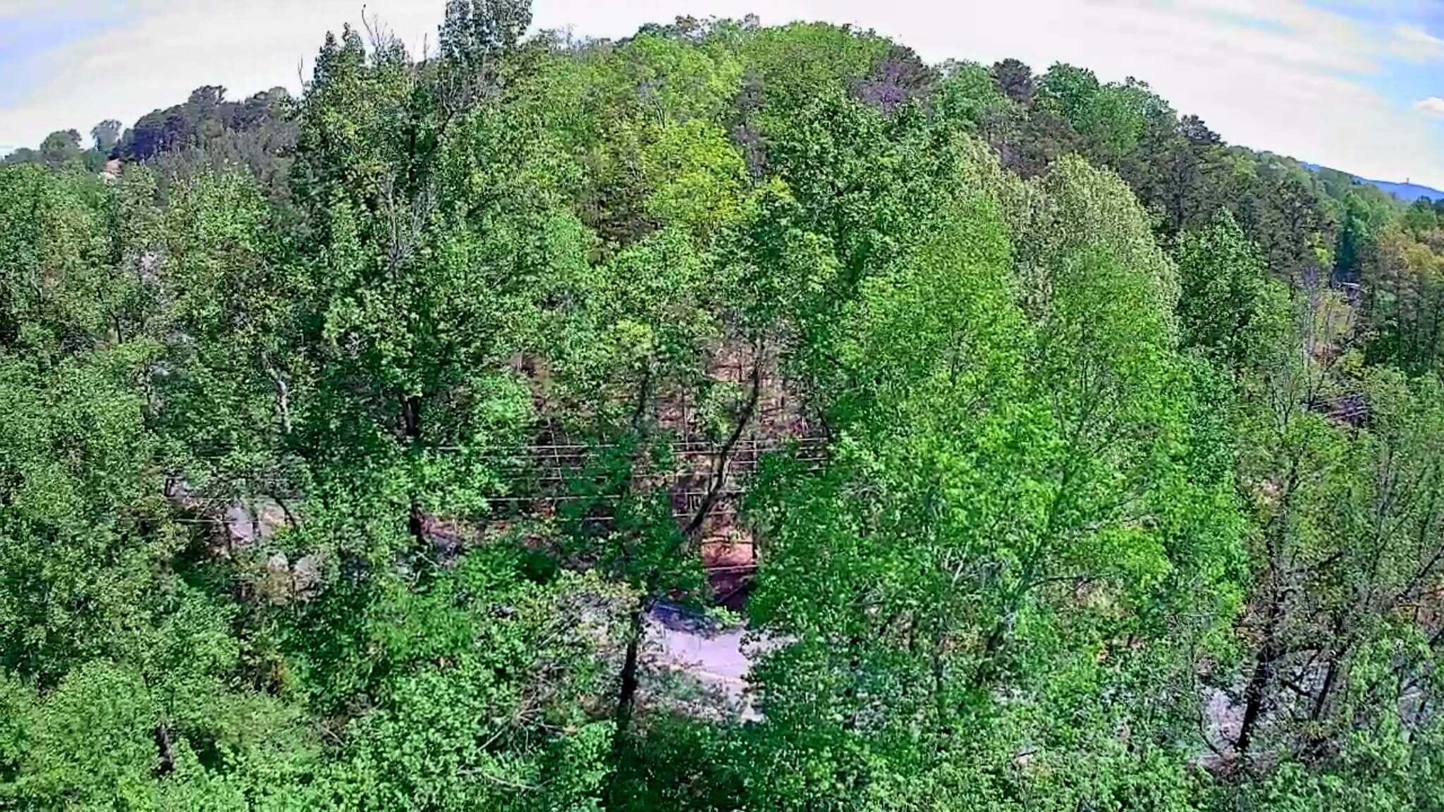3734 Highway 41 Trail