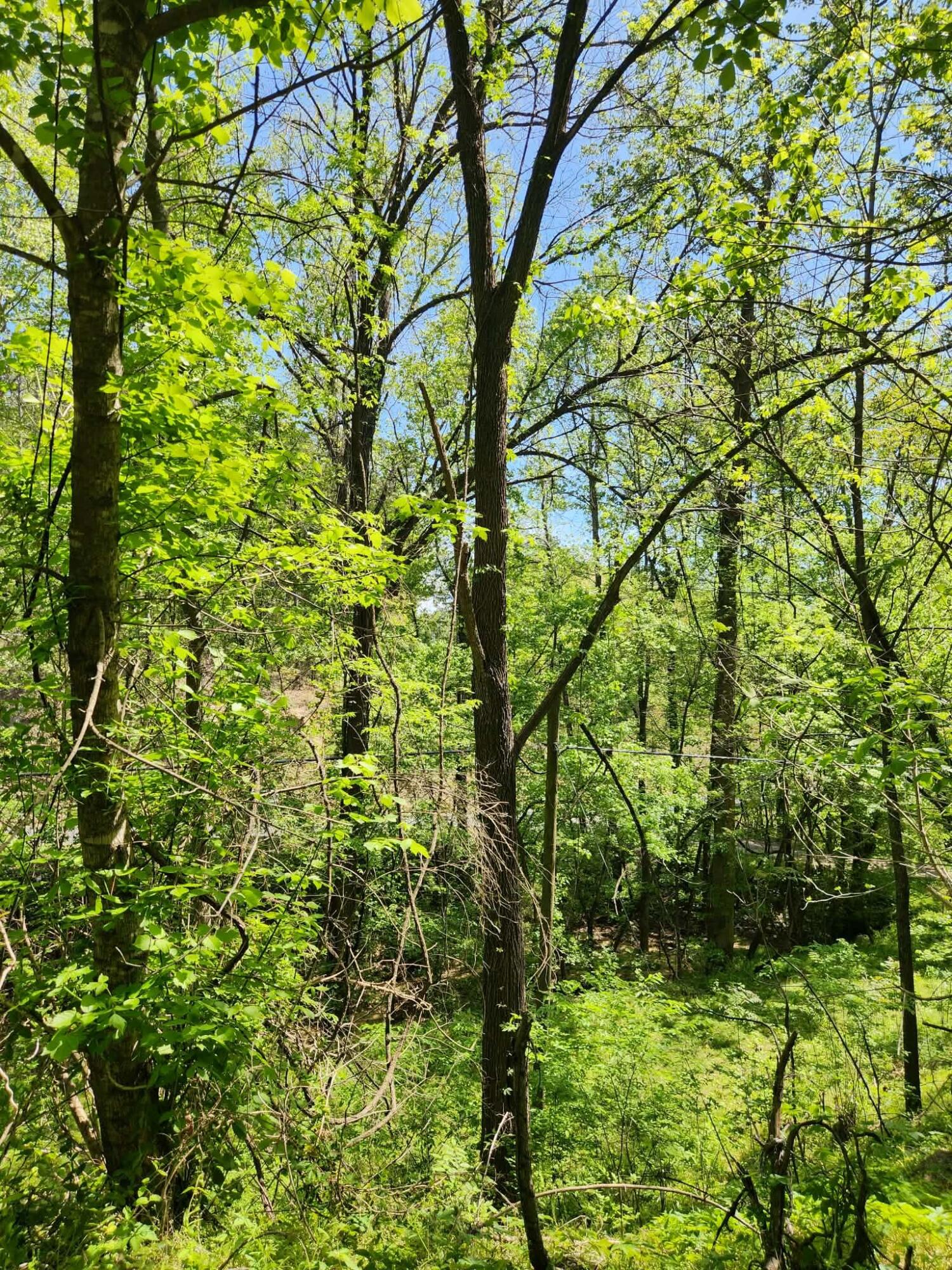 3734 Highway 41 Trail