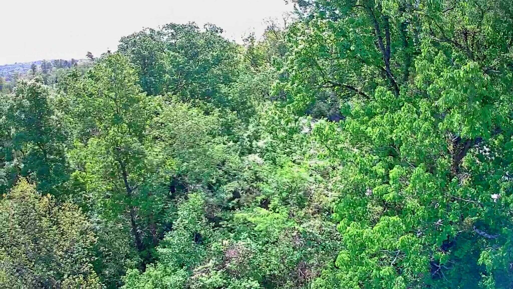 3734 Highway 41 Trail