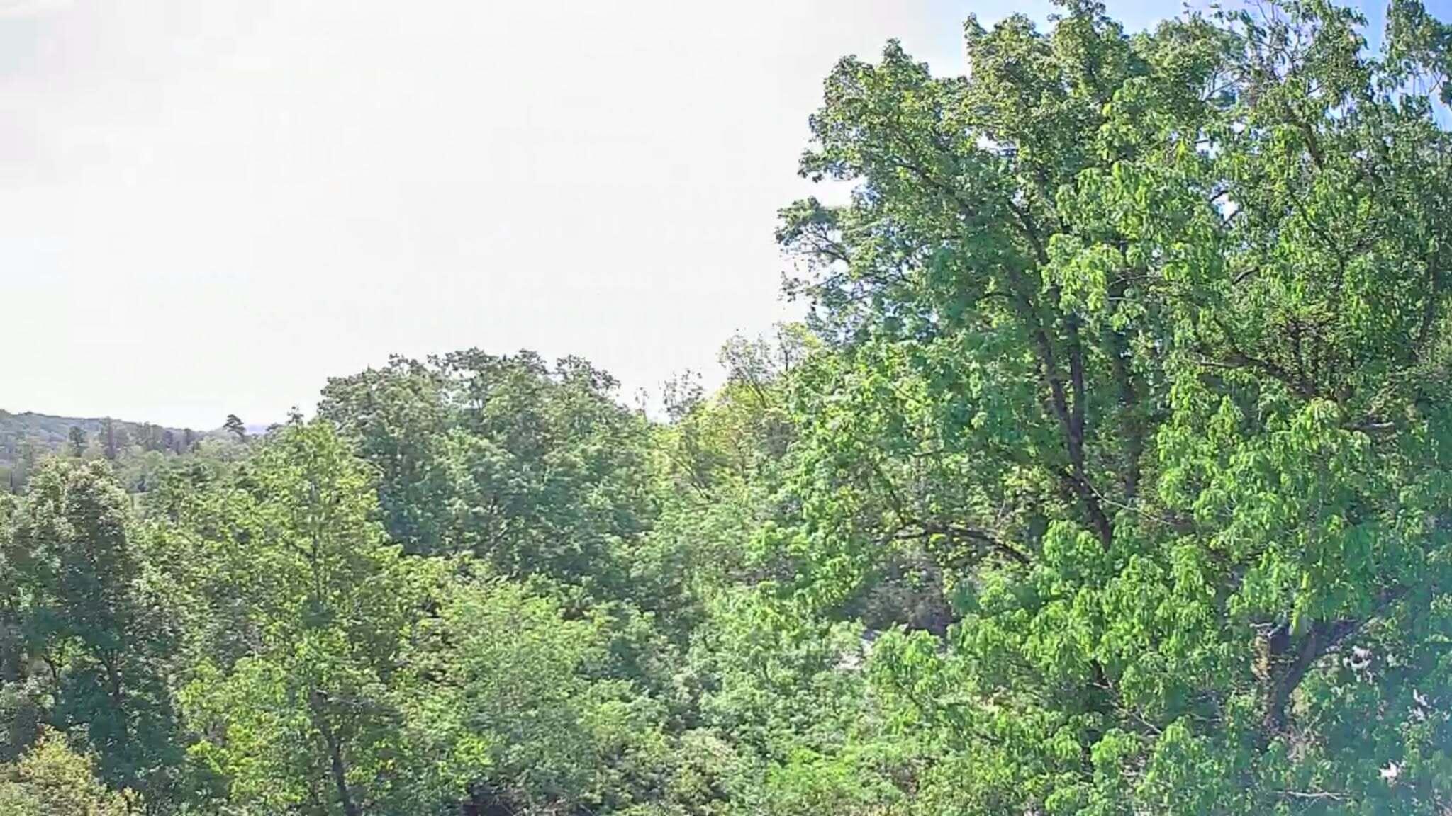 3734 Highway 41 Trail