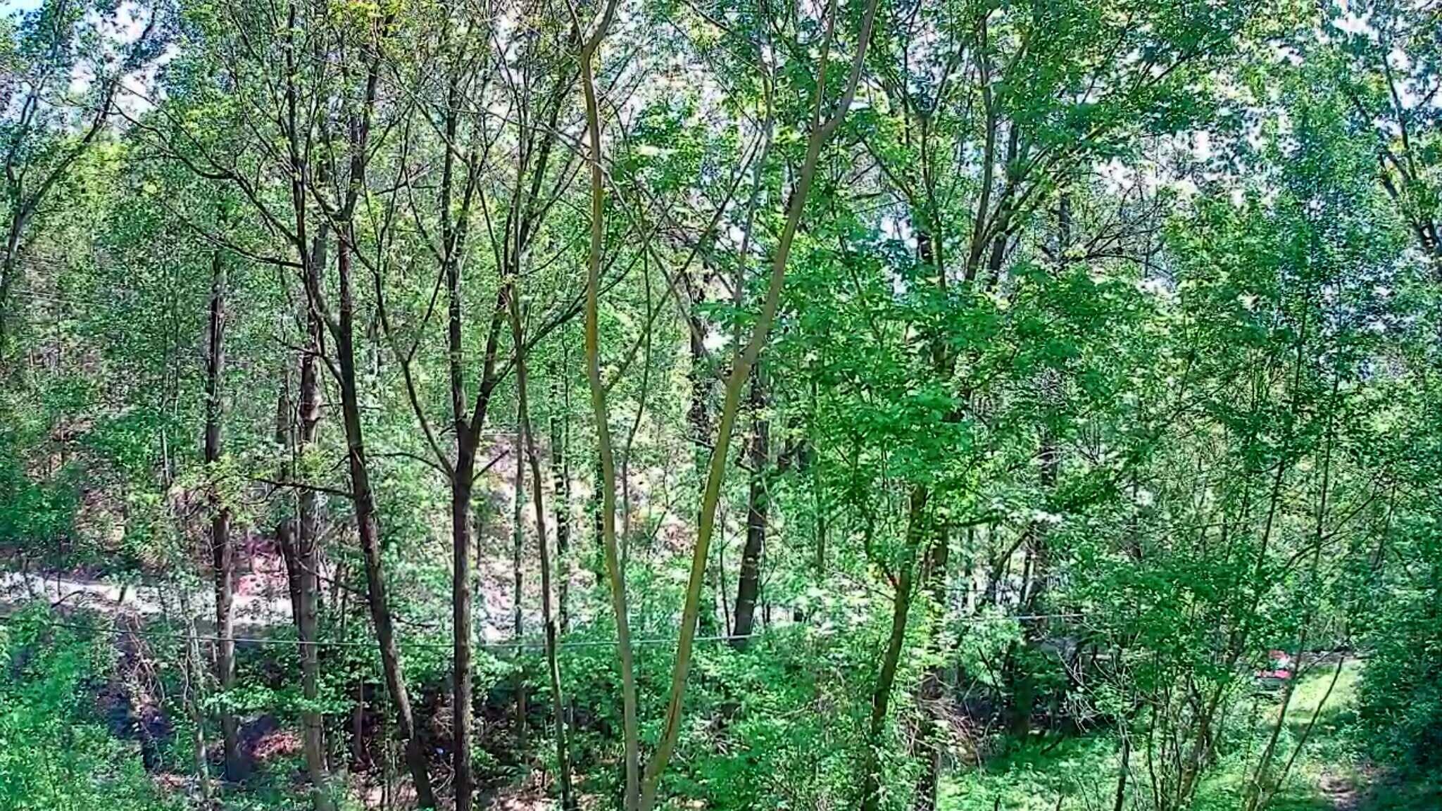 3734 Highway 41 Trail