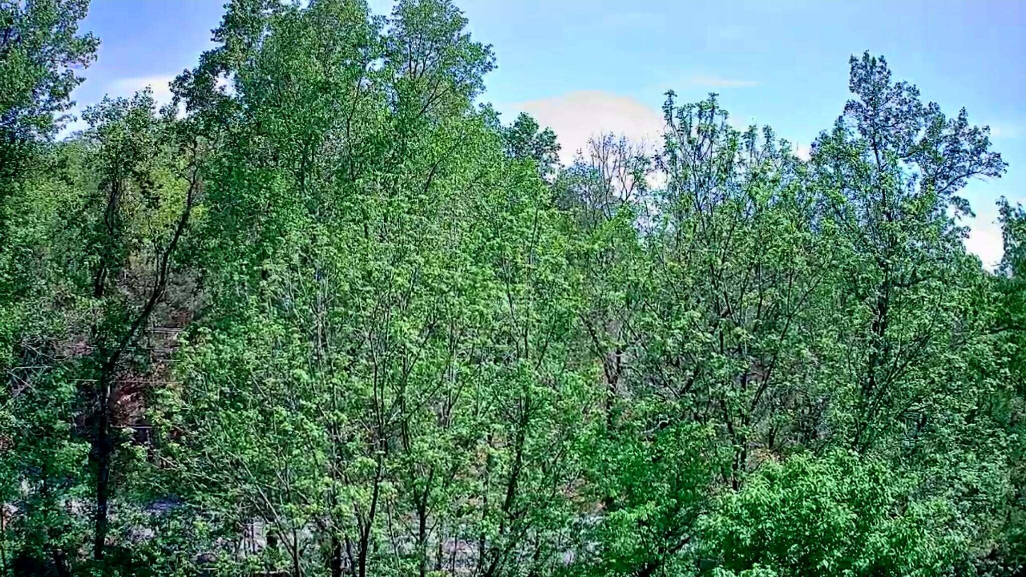 3734 Highway 41 Trail