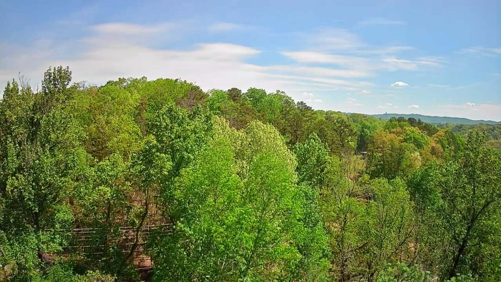 3734 Highway 41 Trail