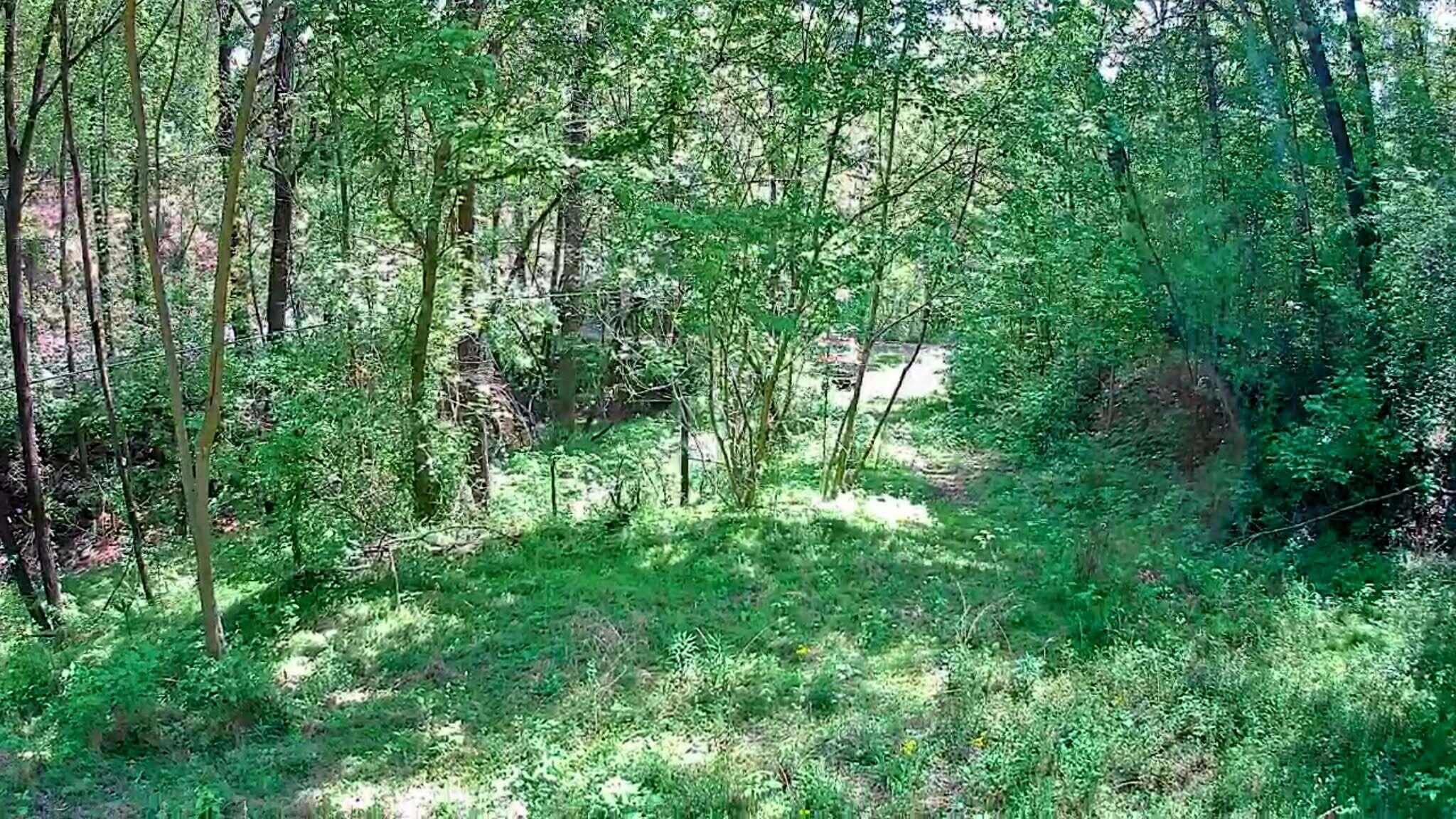 3734 Highway 41 Trail