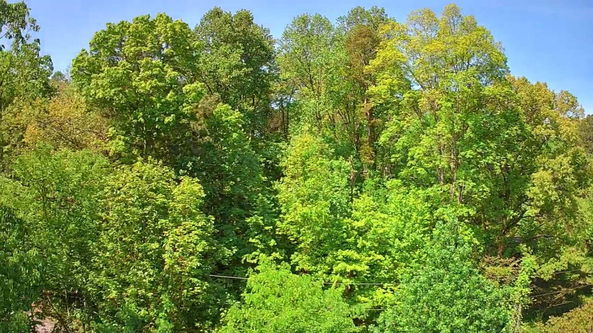 3734 Highway 41 Trail