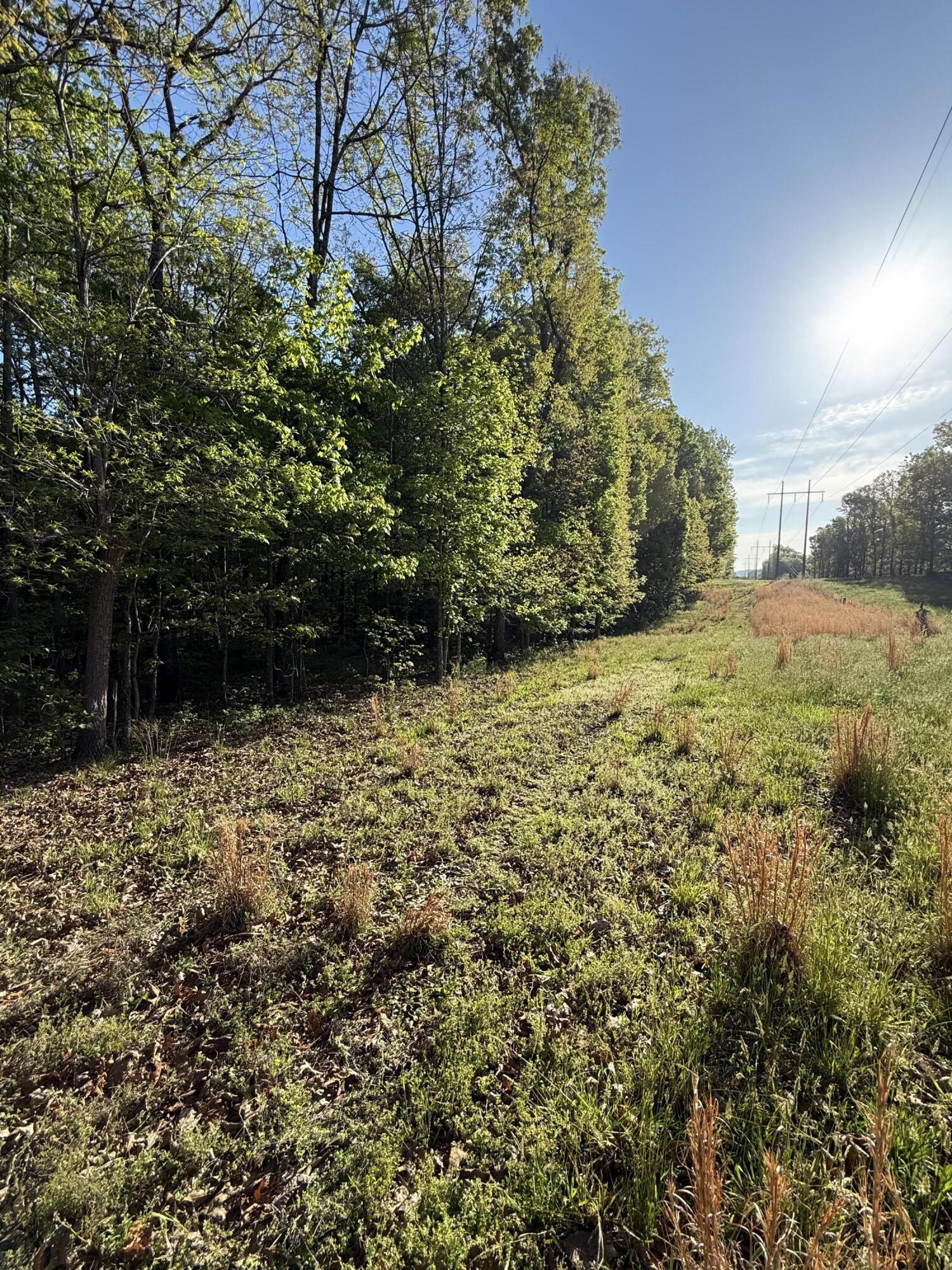 675 Lee Mason Road, LaFayette