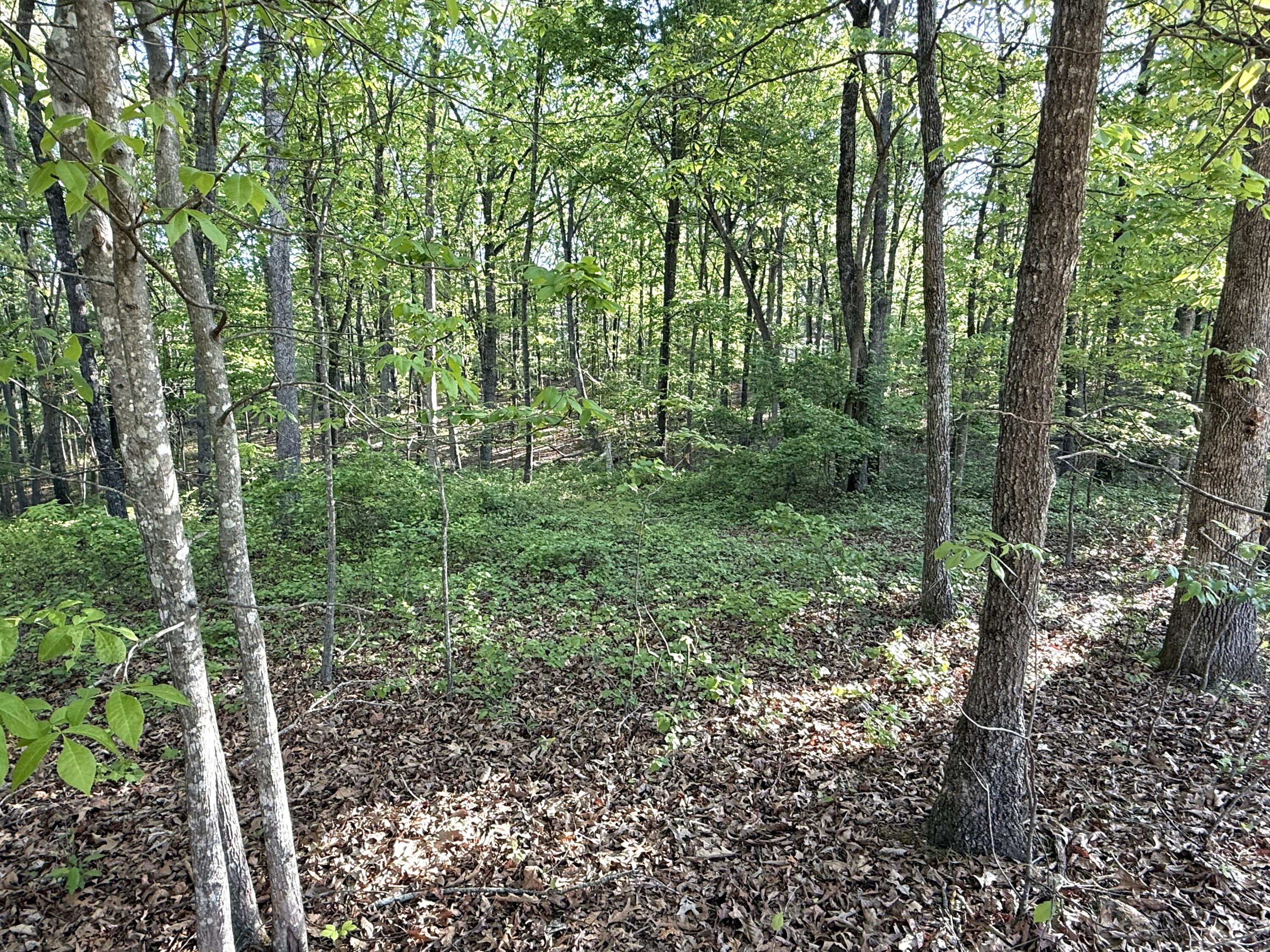 675 Lee Mason Road, LaFayette
