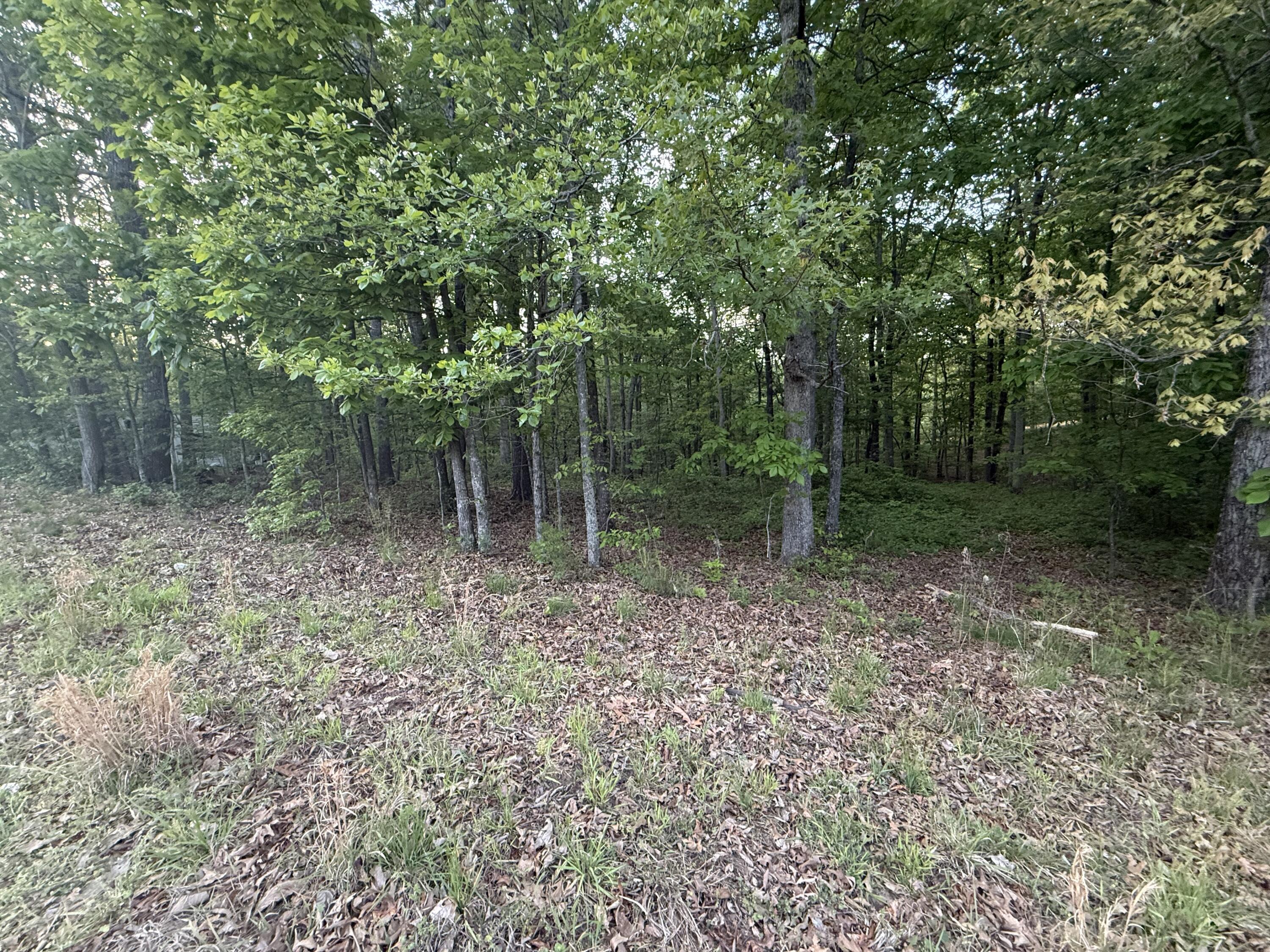 675 Lee Mason Road, LaFayette
