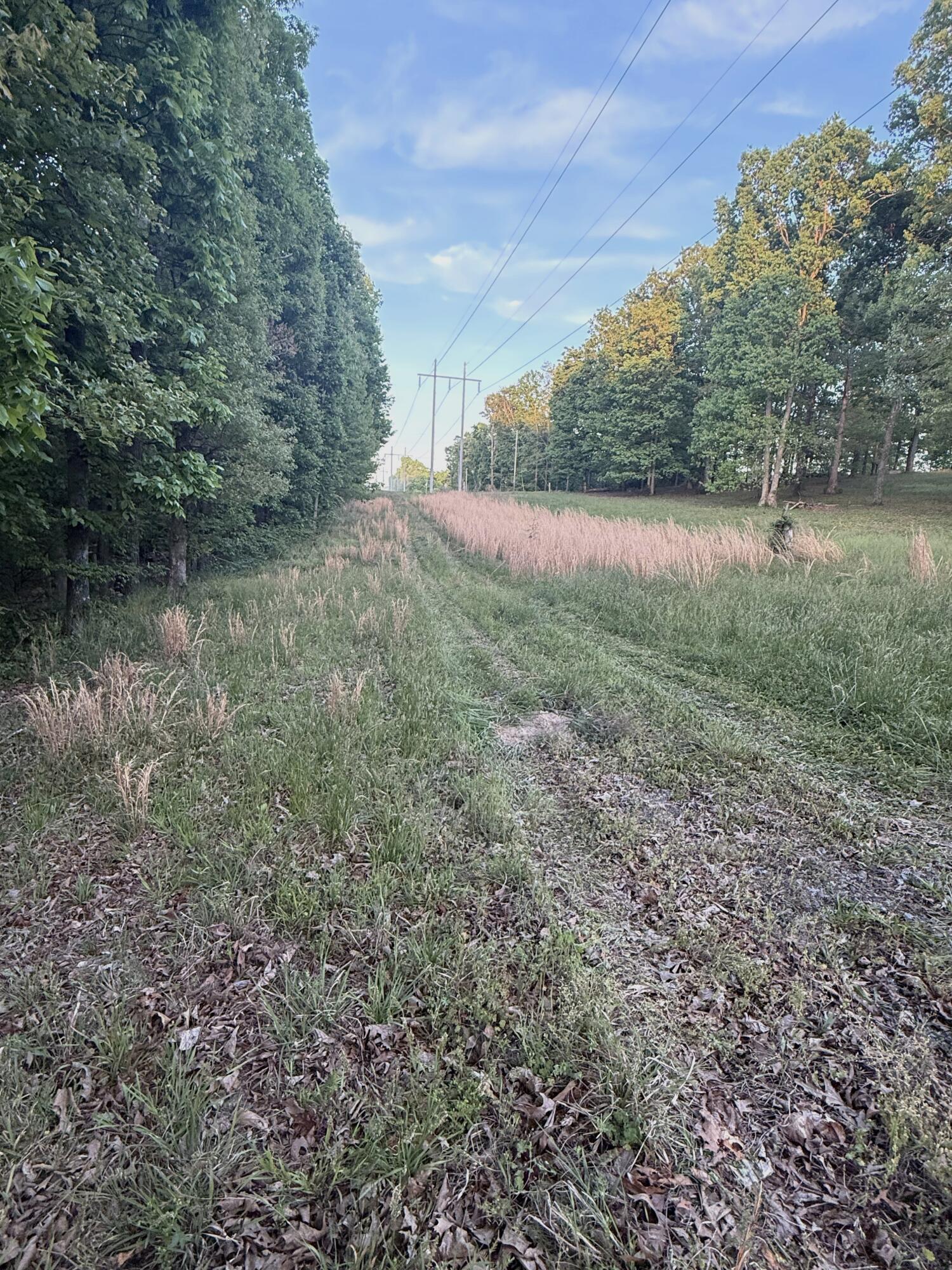 675 Lee Mason Road, LaFayette