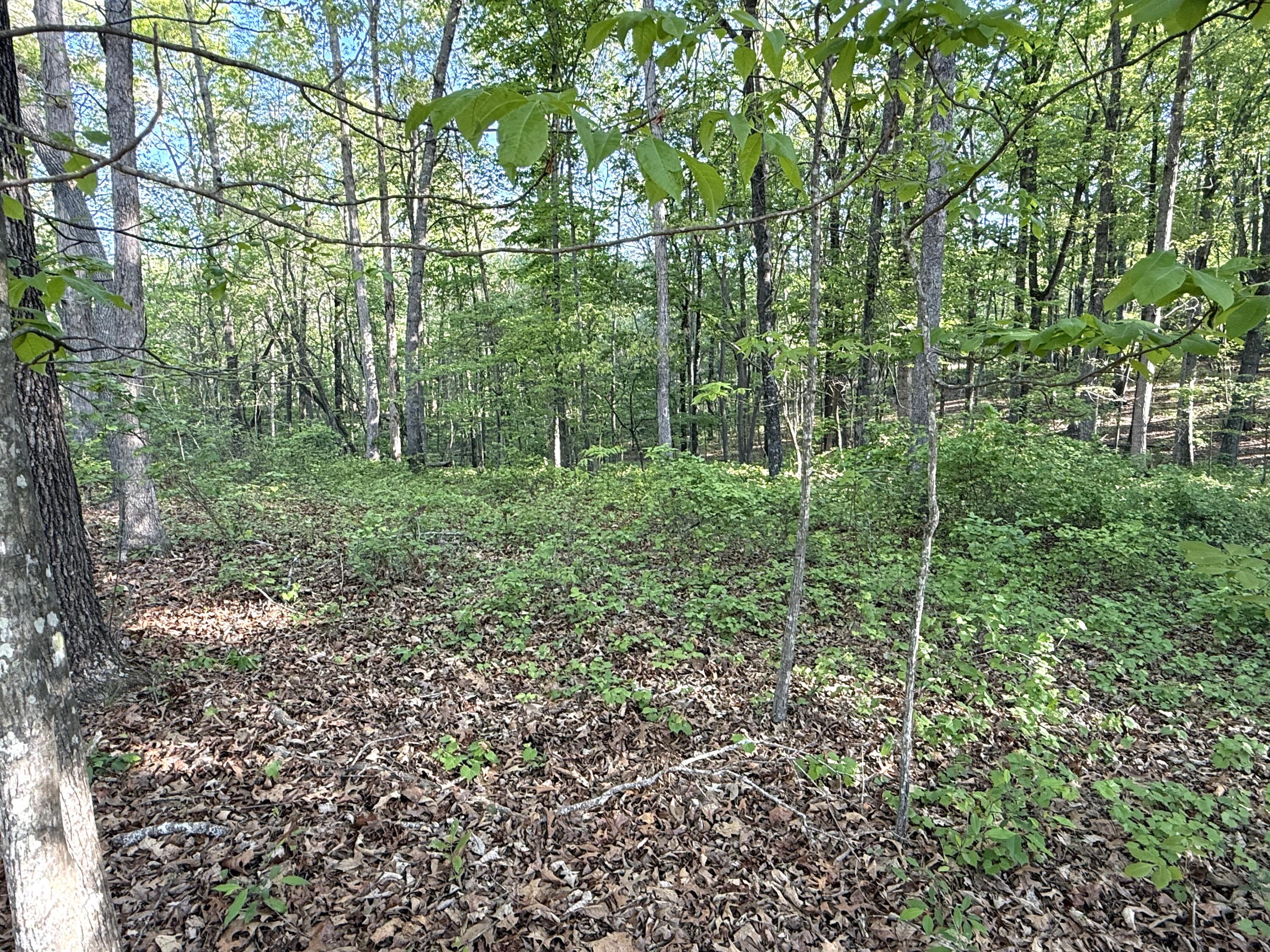 675 Lee Mason Road, LaFayette