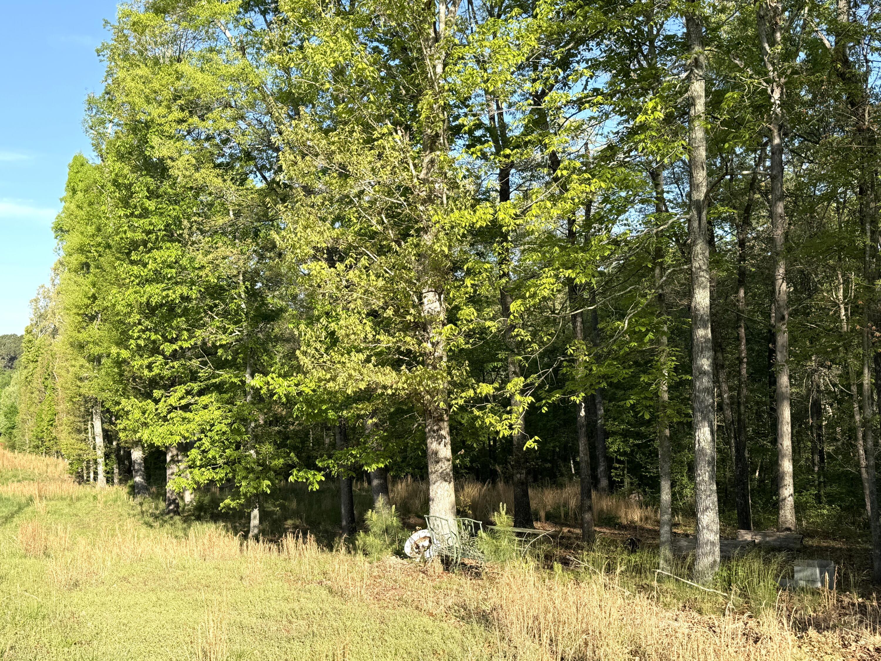 675 Lee Mason Road, LaFayette