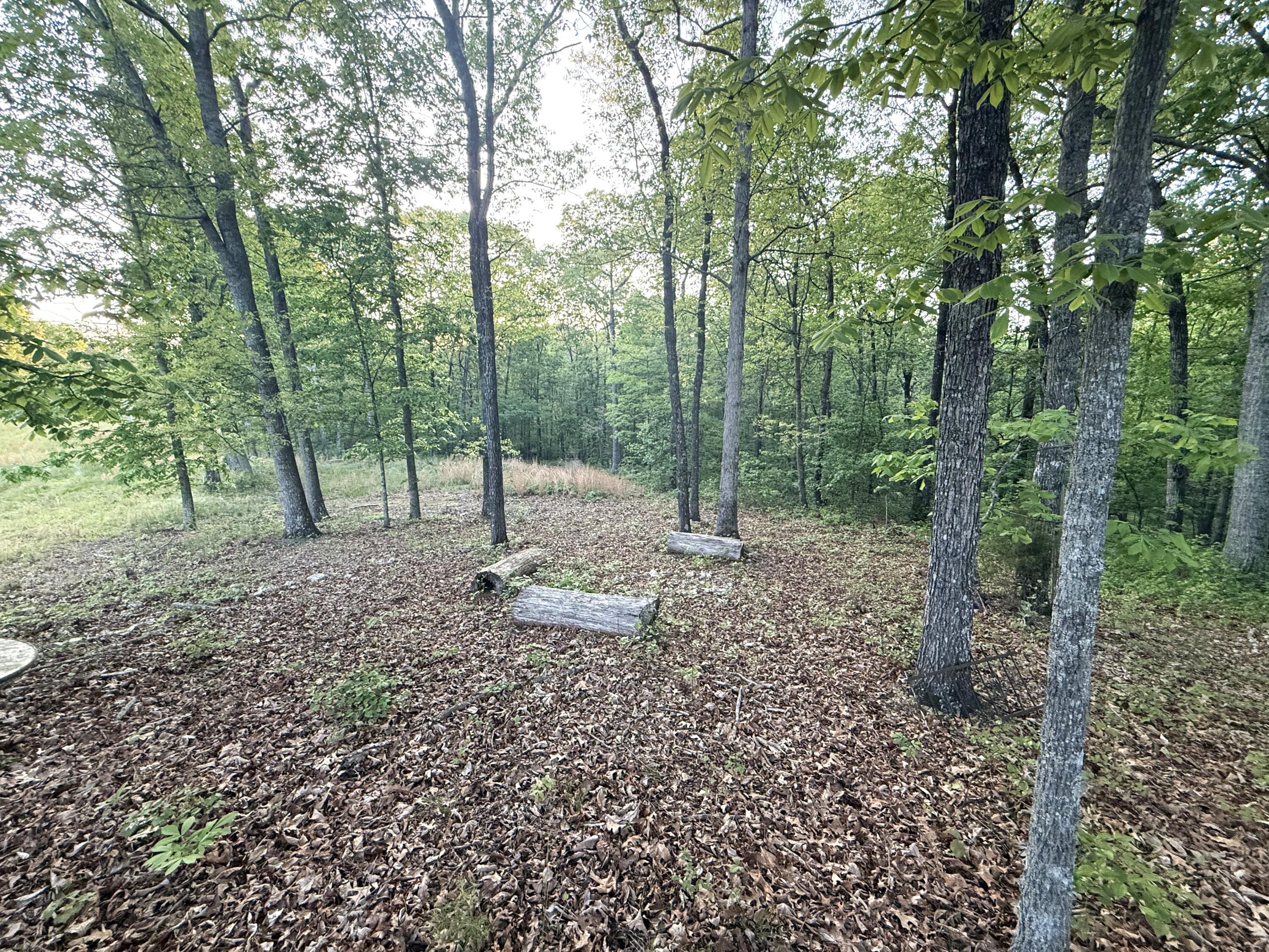 675 Lee Mason Road, LaFayette