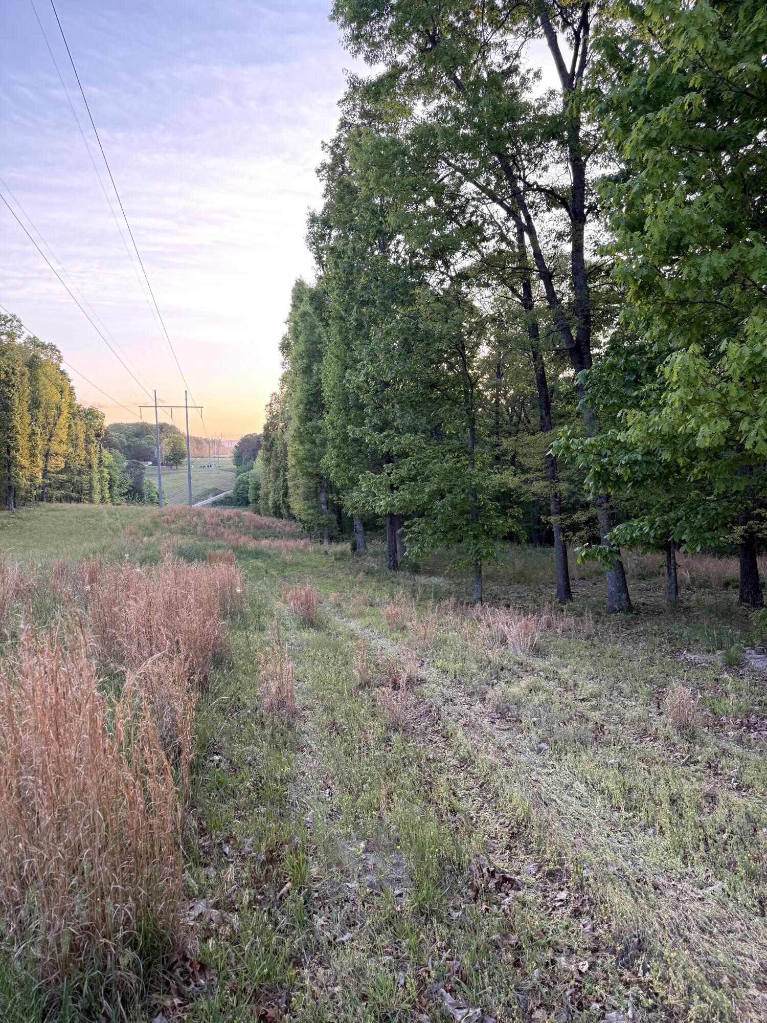 675 Lee Mason Road, LaFayette