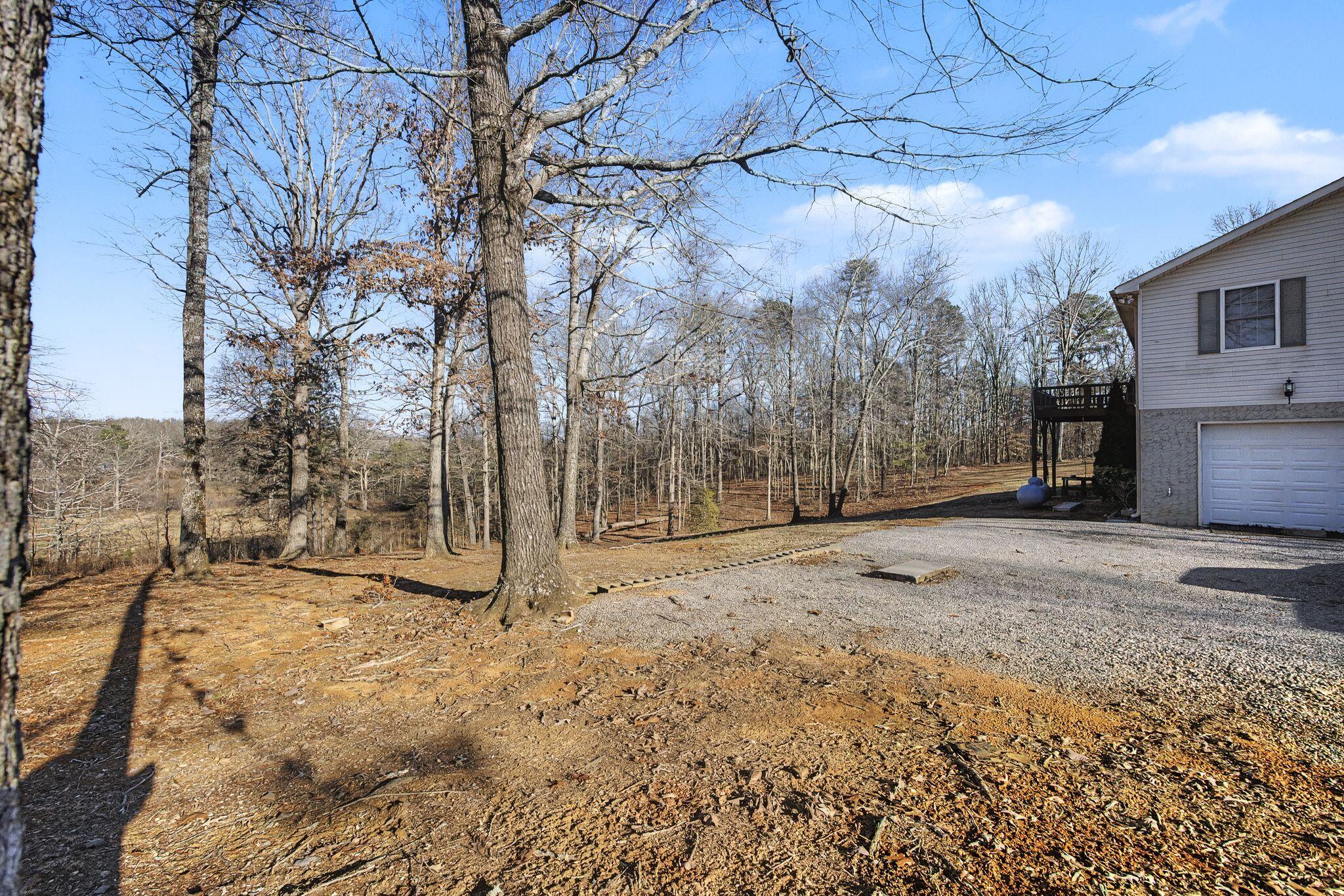 3911 County Road 131
