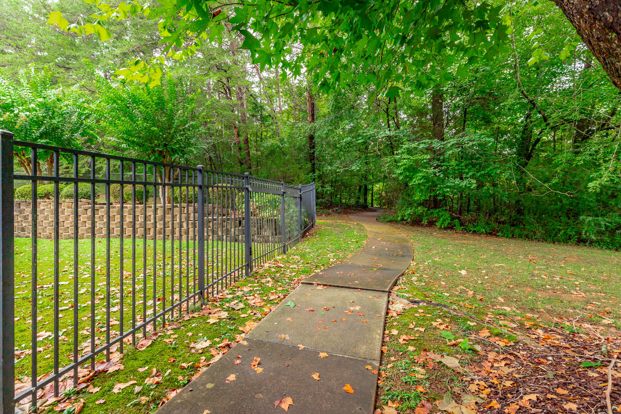 810 Younger Circle