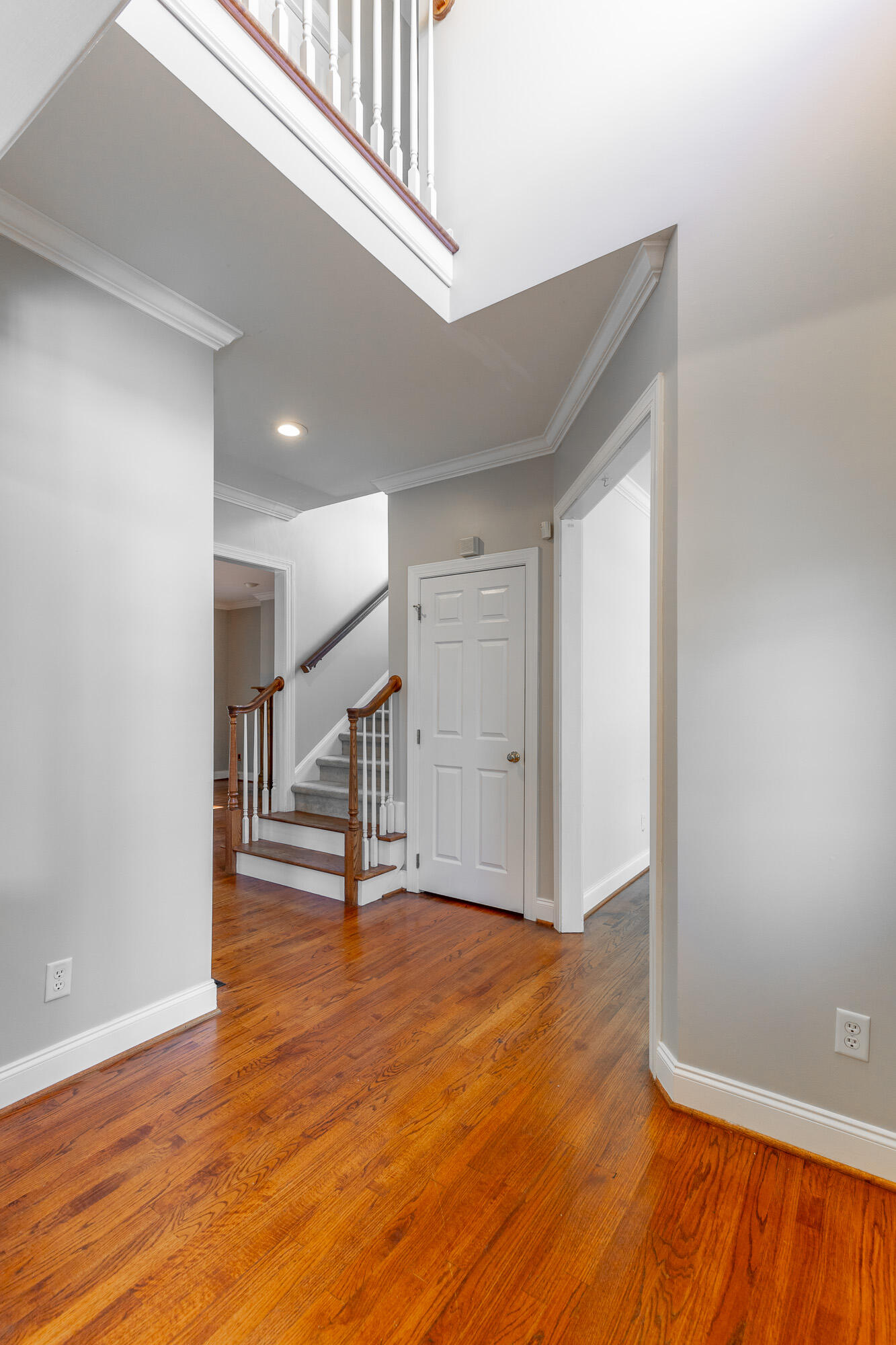 810 Younger Circle