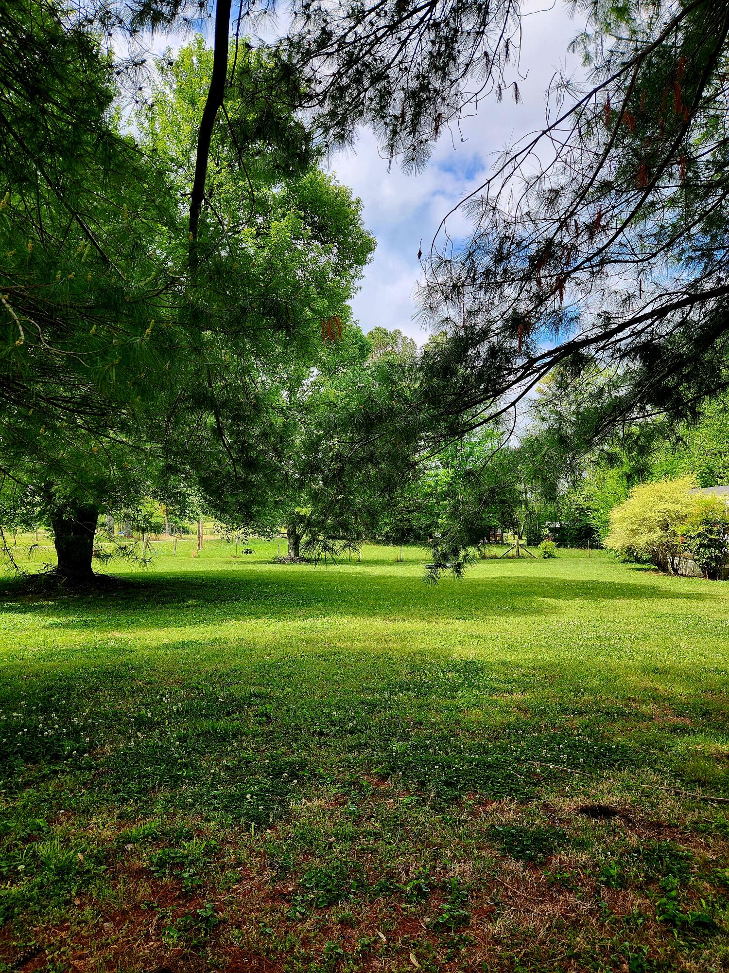 3378 Highway 39 W