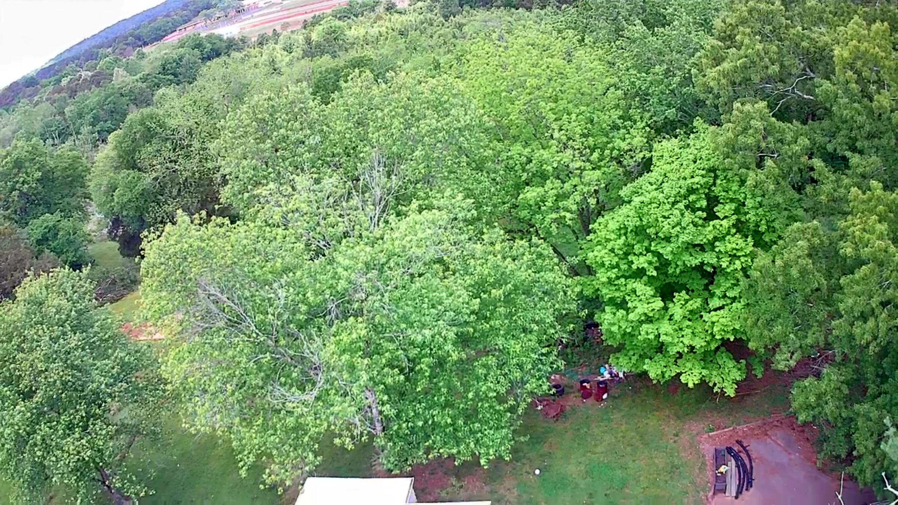 3378 Highway 39 W