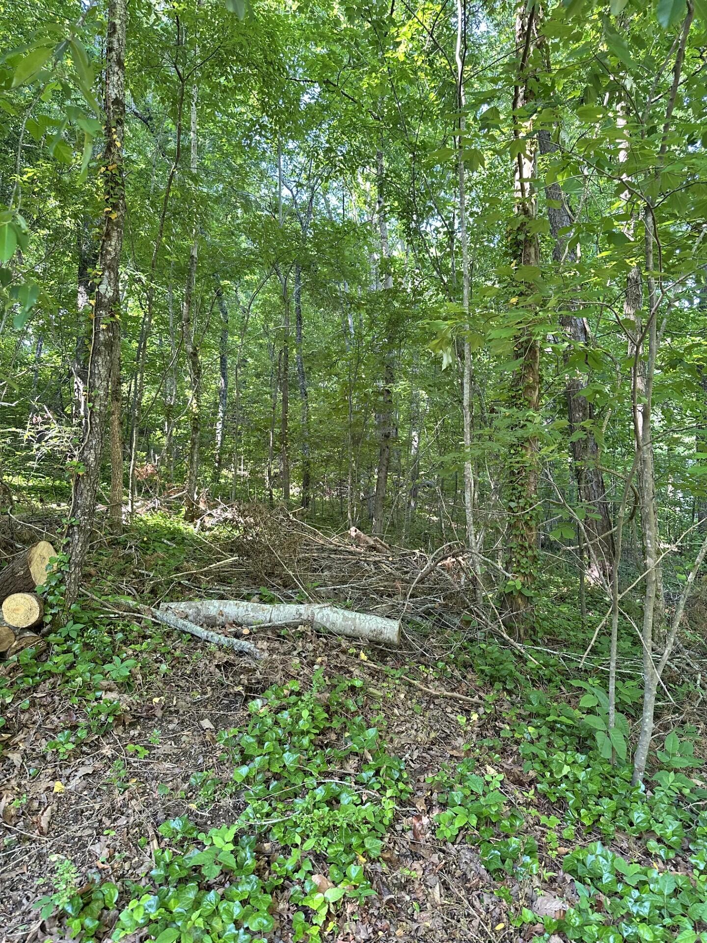 6900 Spinmaker Cove