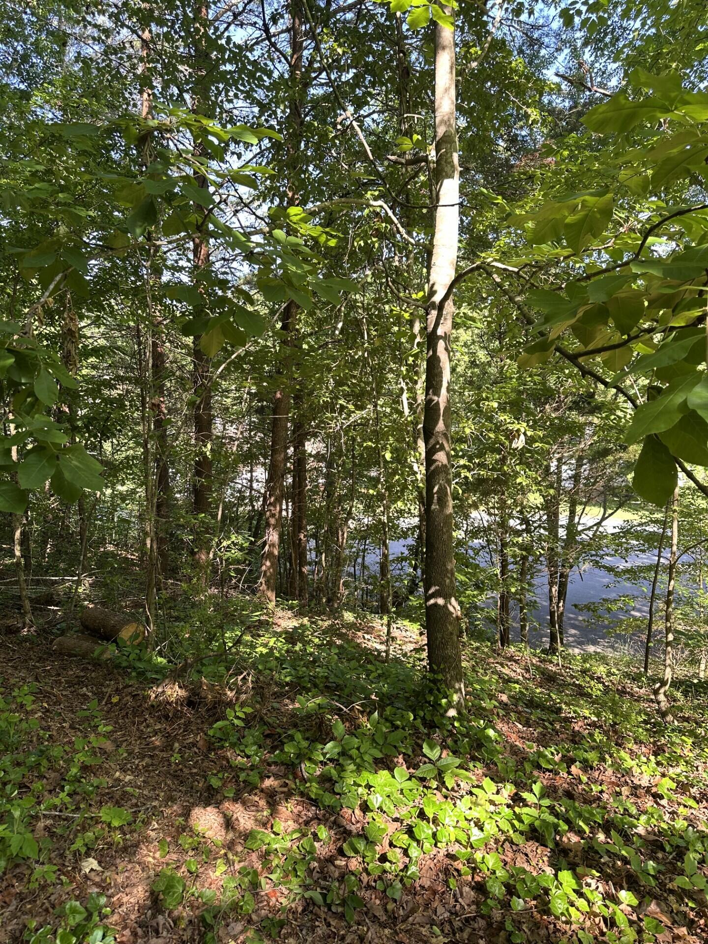 6900 Spinmaker Cove