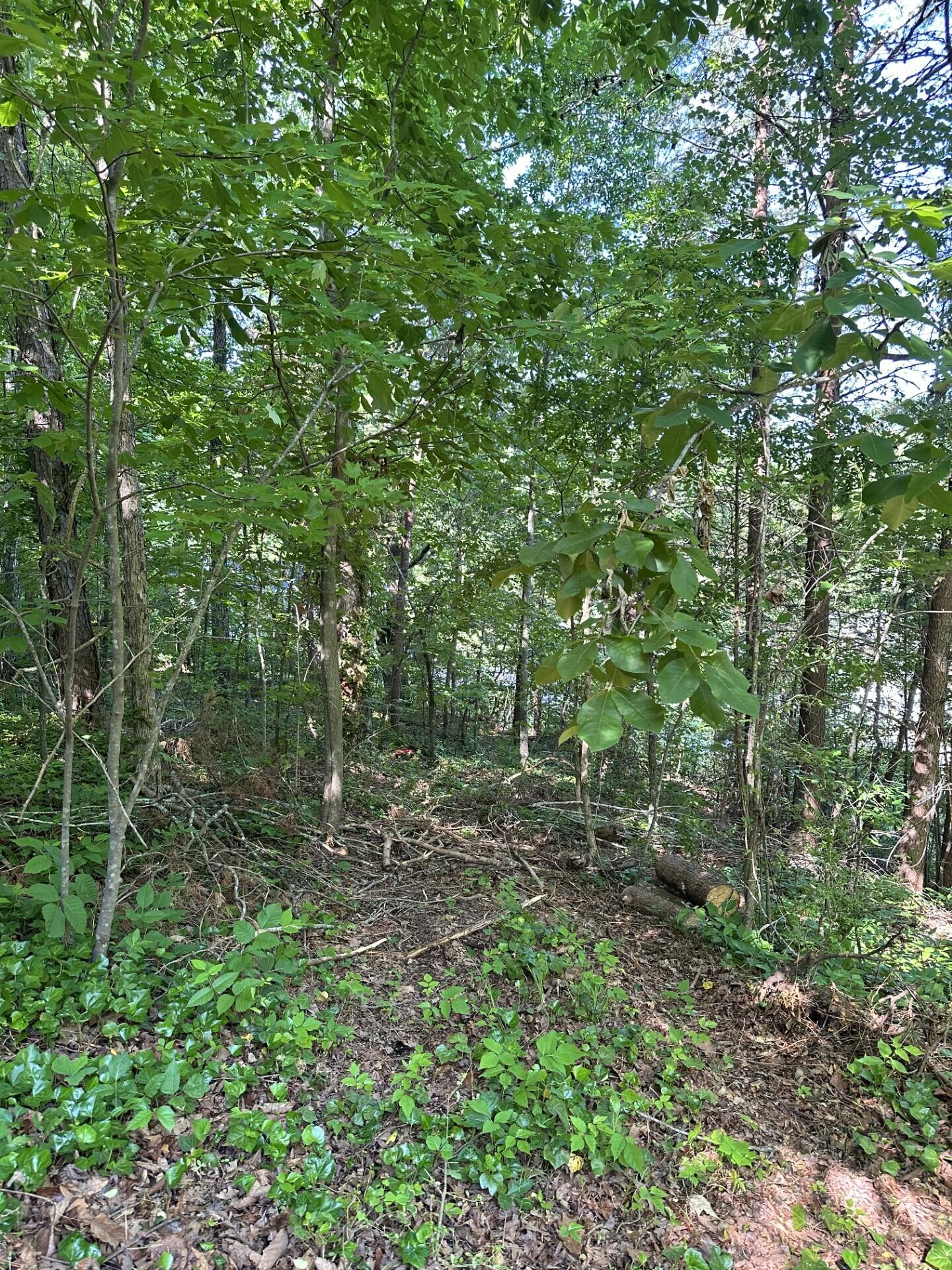 6900 Spinmaker Cove
