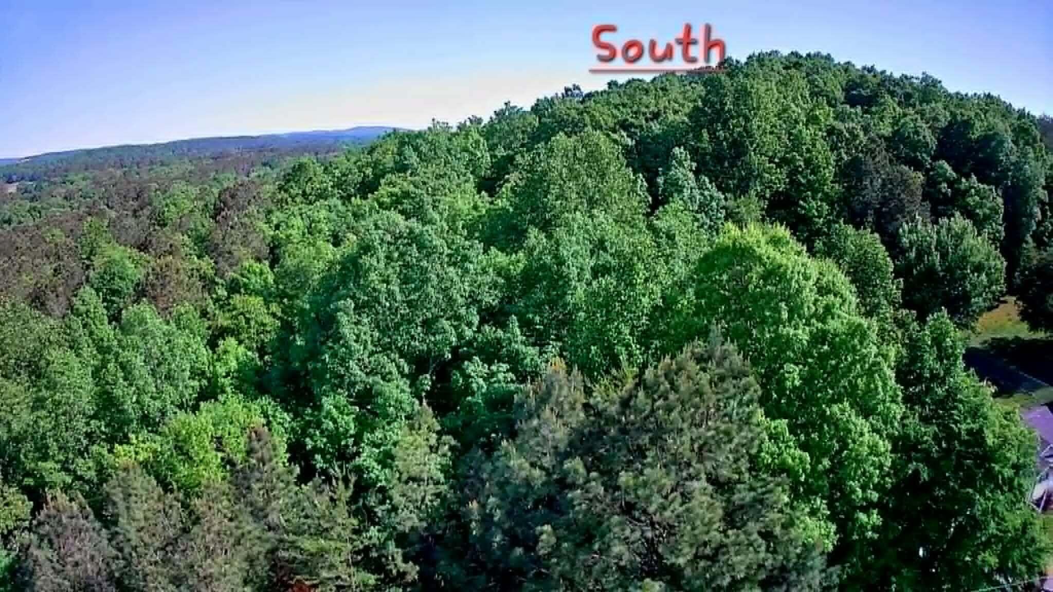 302 Timberland Trail