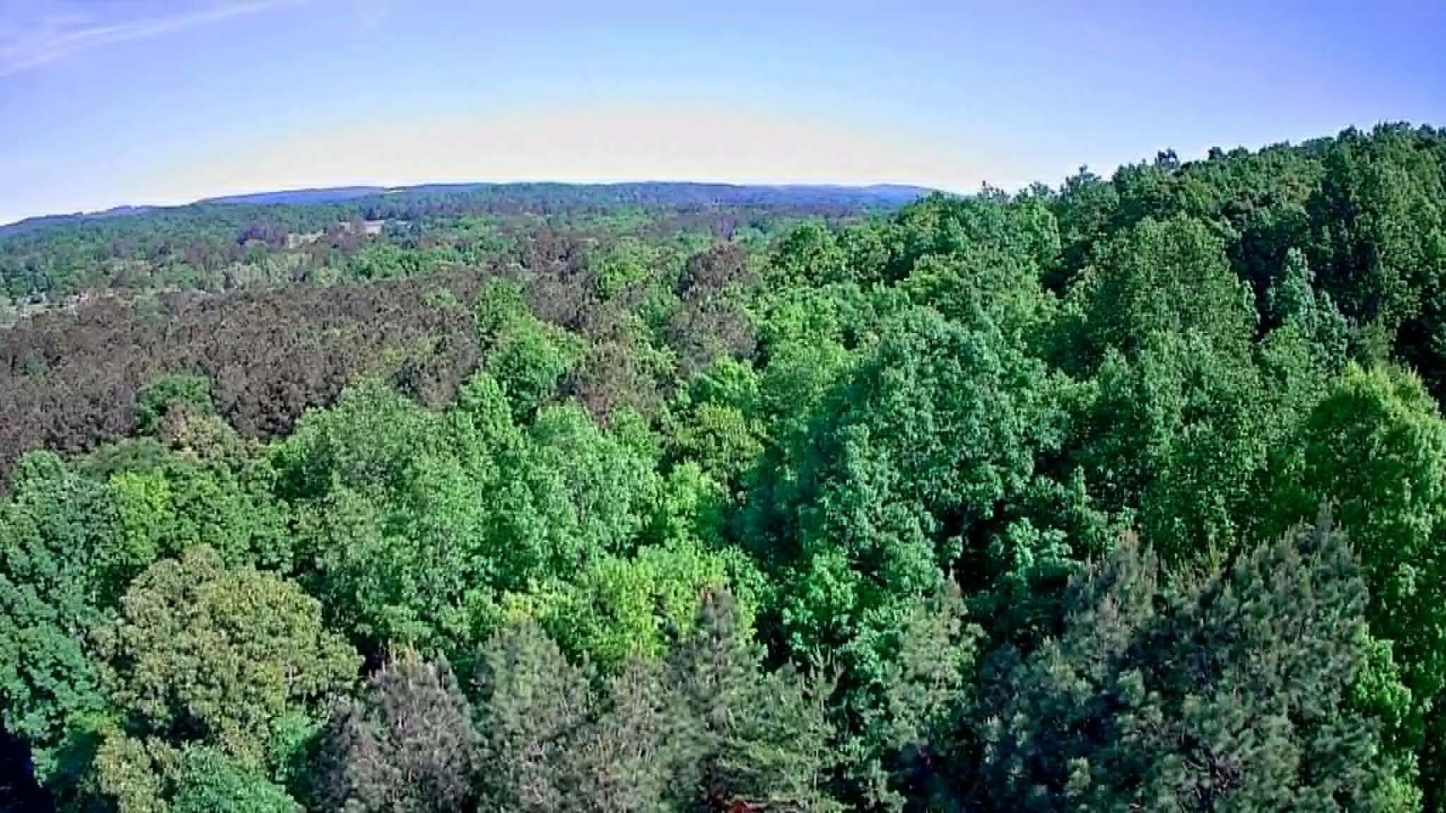 302 Timberland Trail