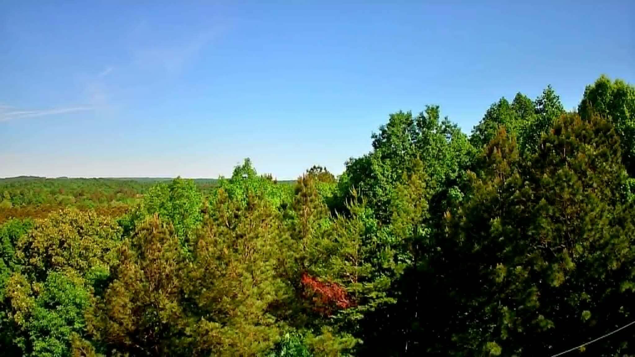 302 Timberland Trail