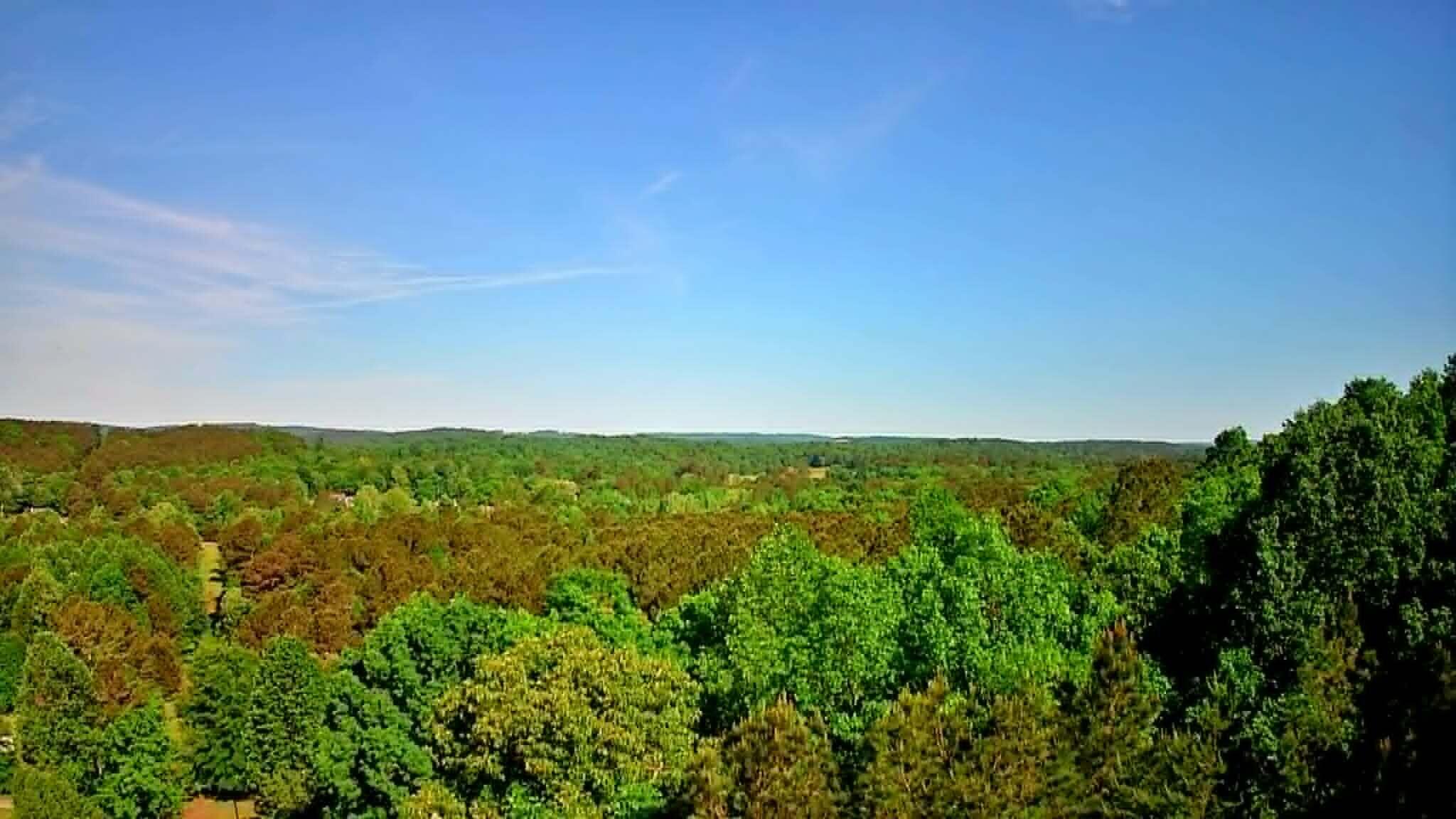 302 Timberland Trail