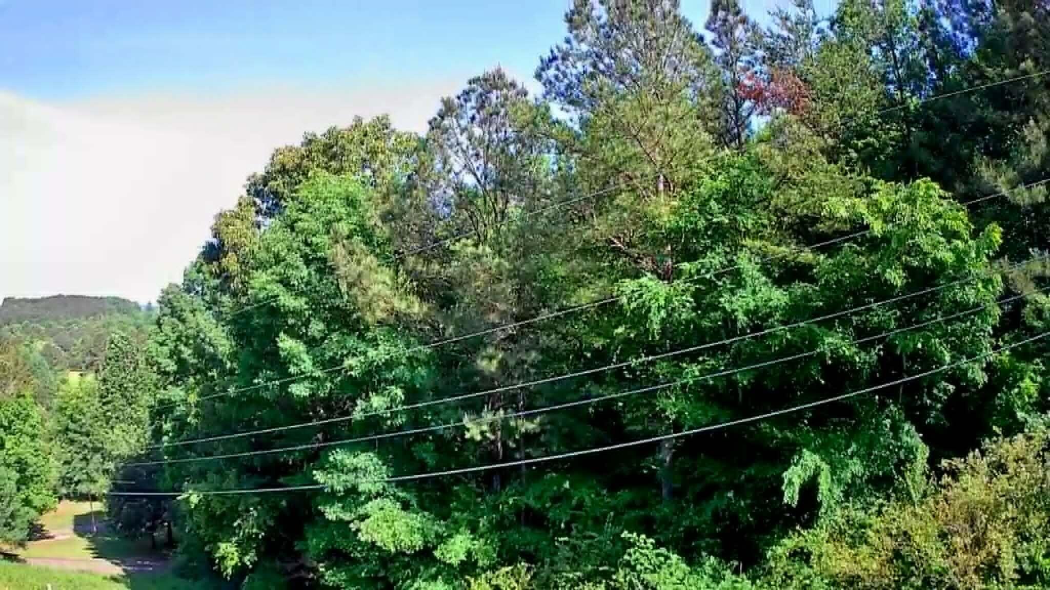 302 Timberland Trail