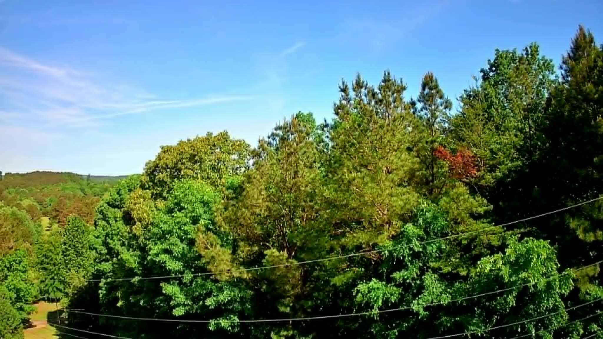 302 Timberland Trail