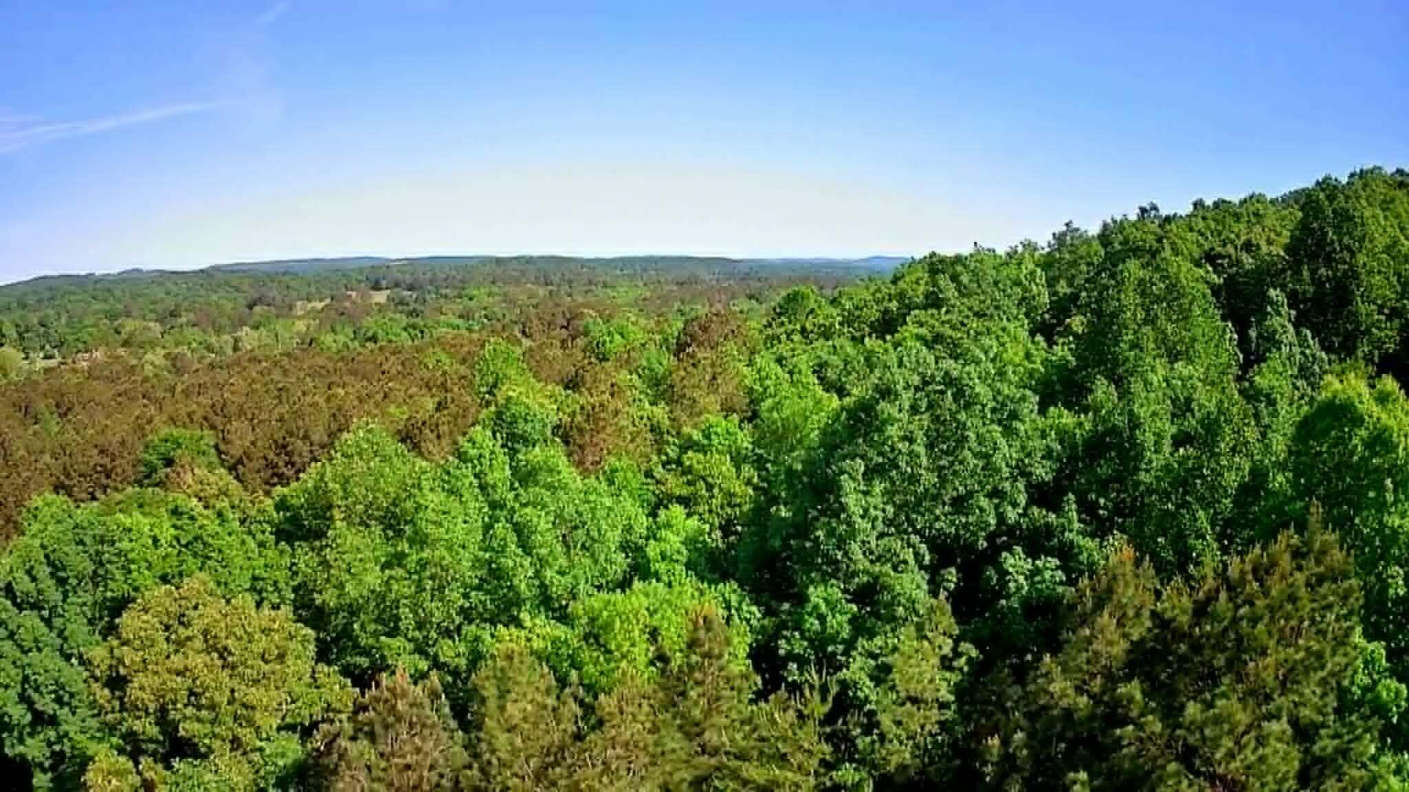 302 Timberland Trail