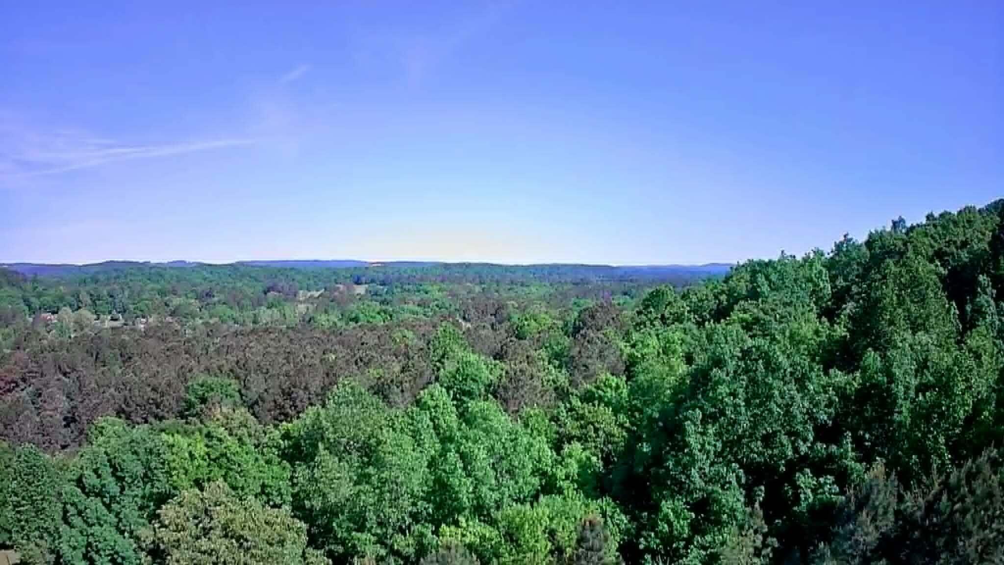 302 Timberland Trail