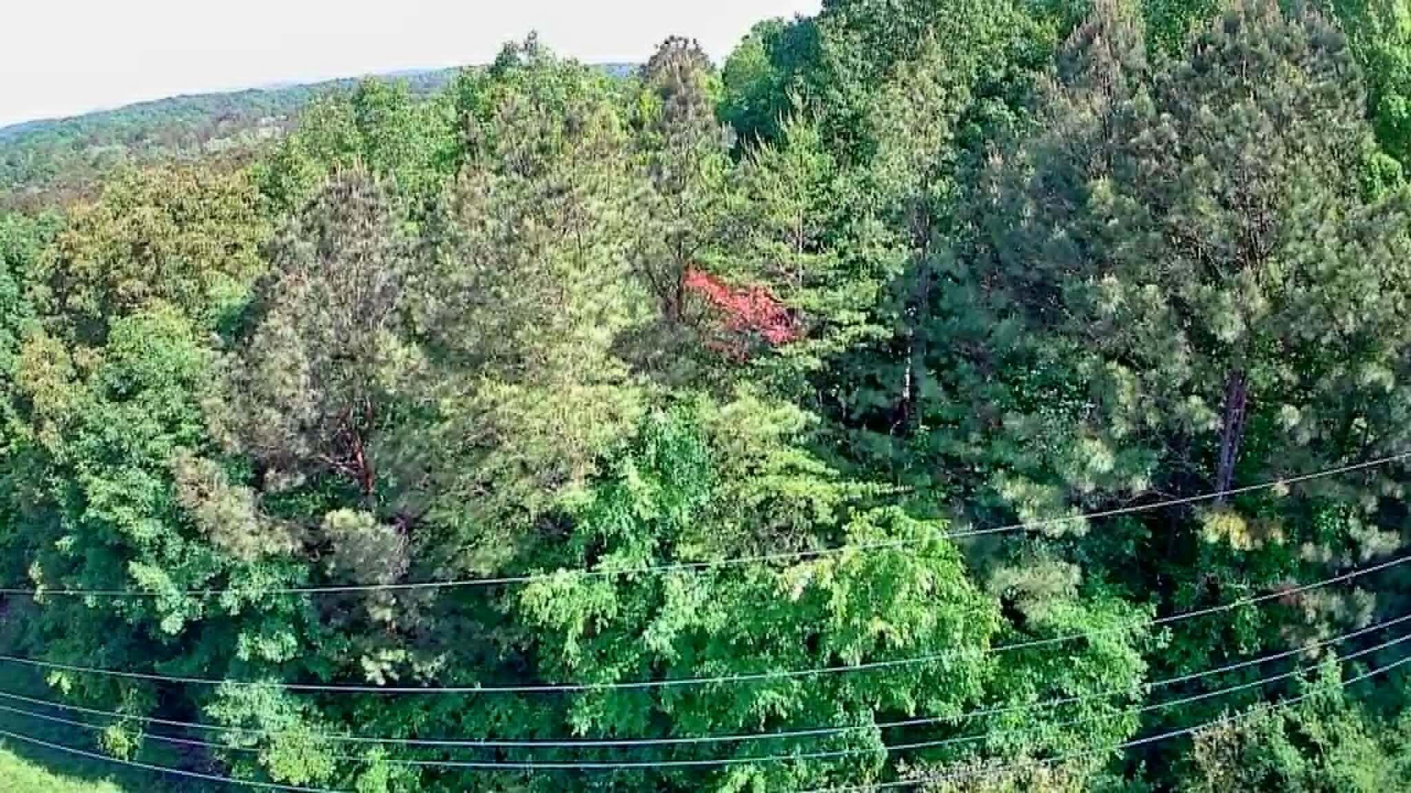 302 Timberland Trail