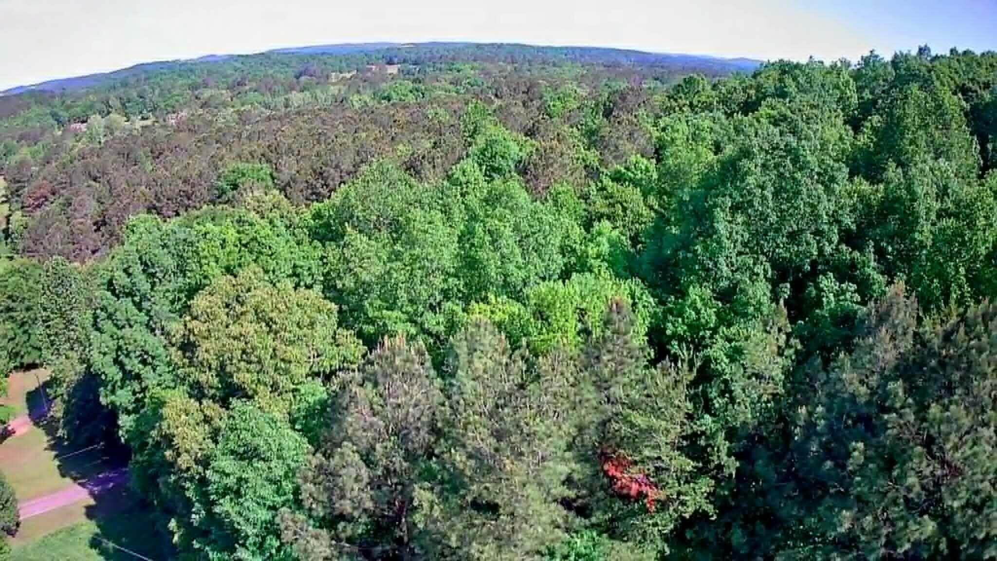 302 Timberland Trail