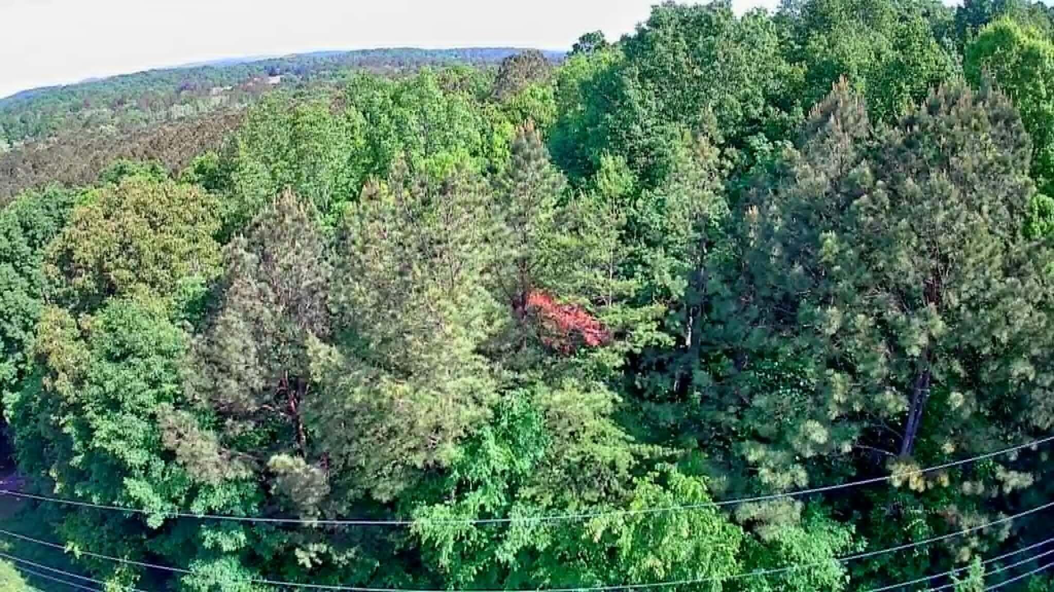 302 Timberland Trail