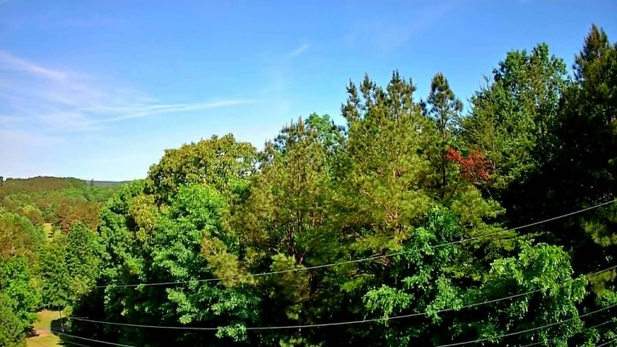 302 Timberland Trail