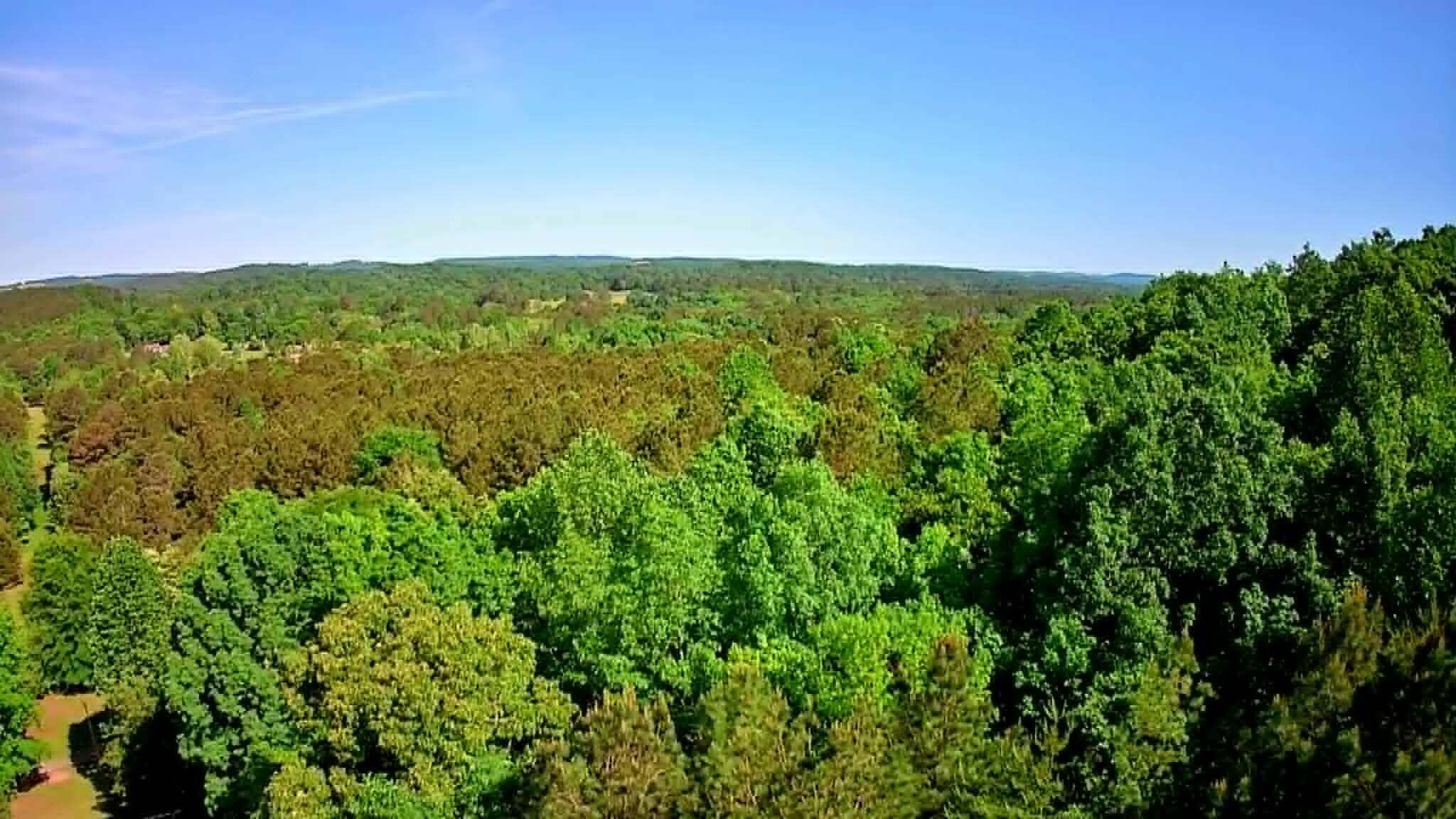 302 Timberland Trail